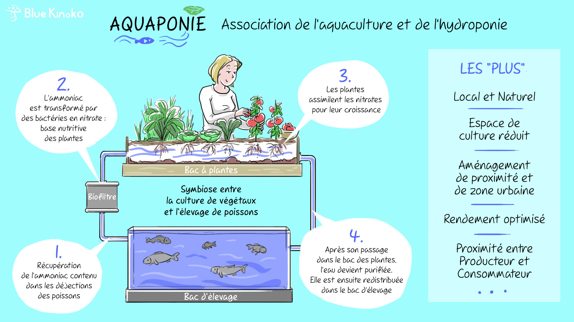 Fiche pédagogique illustrée les points forts de l'aquaponie