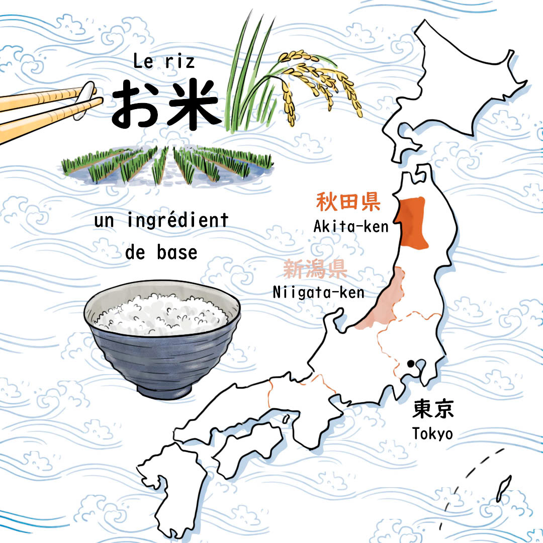 carte japonaise riz akita niigata illustration