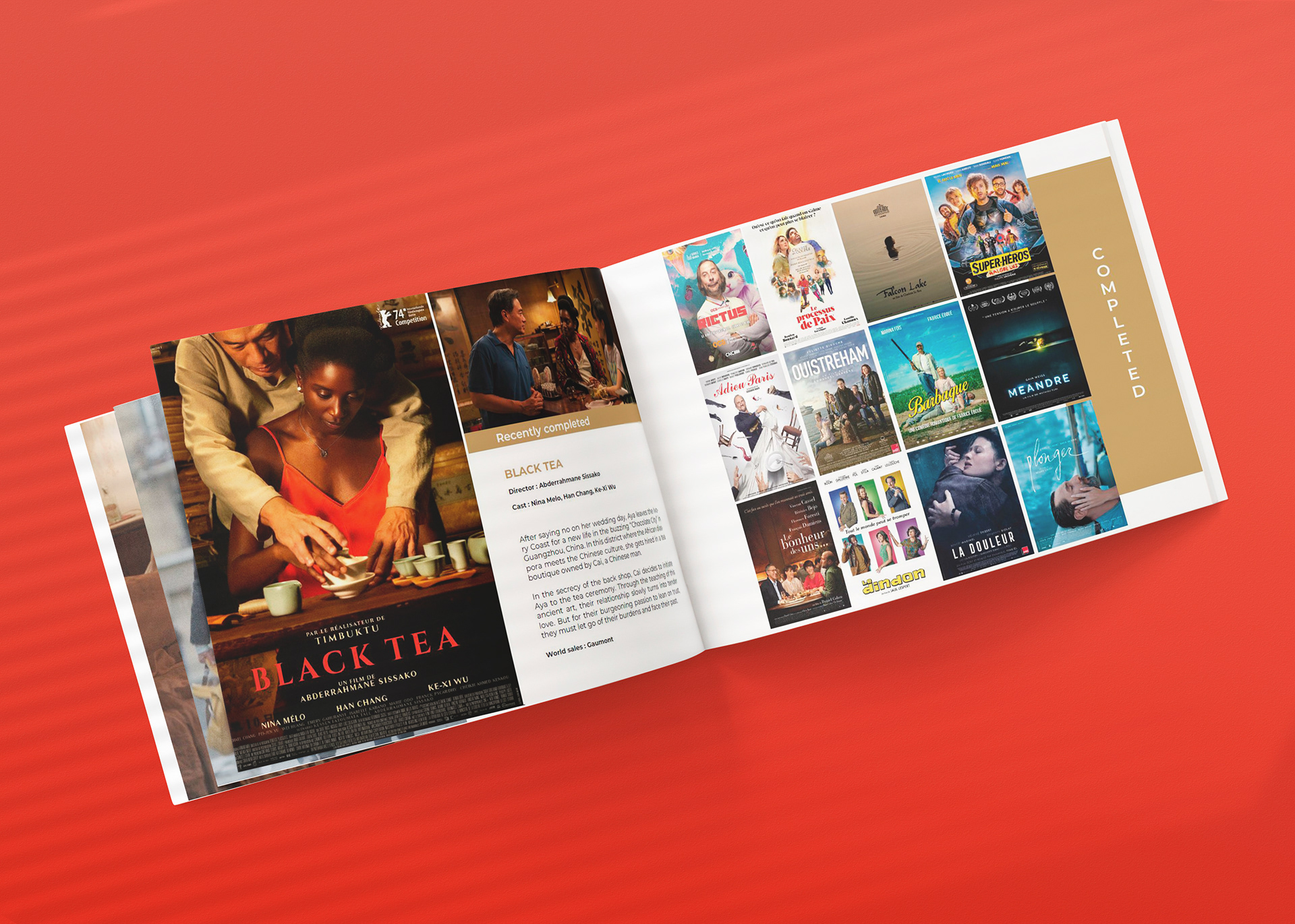 brochure présentant les films, affiches de films pour le festival de Cannes 2024