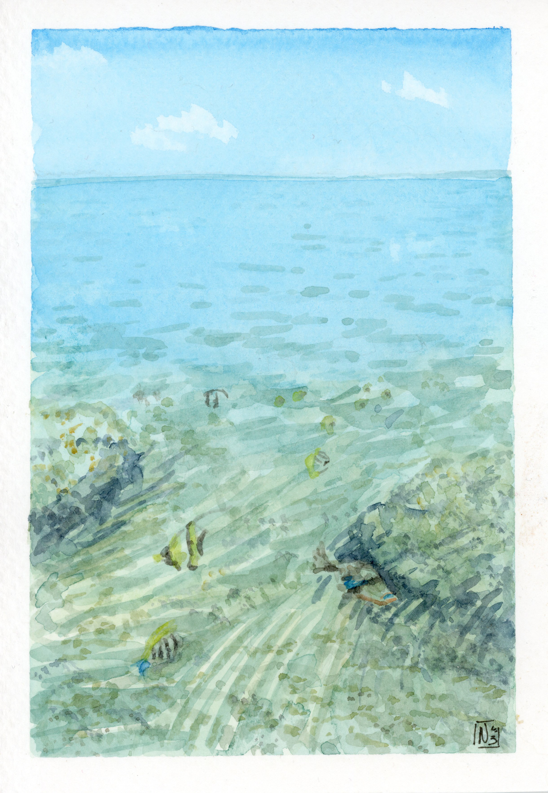 Sous la surface