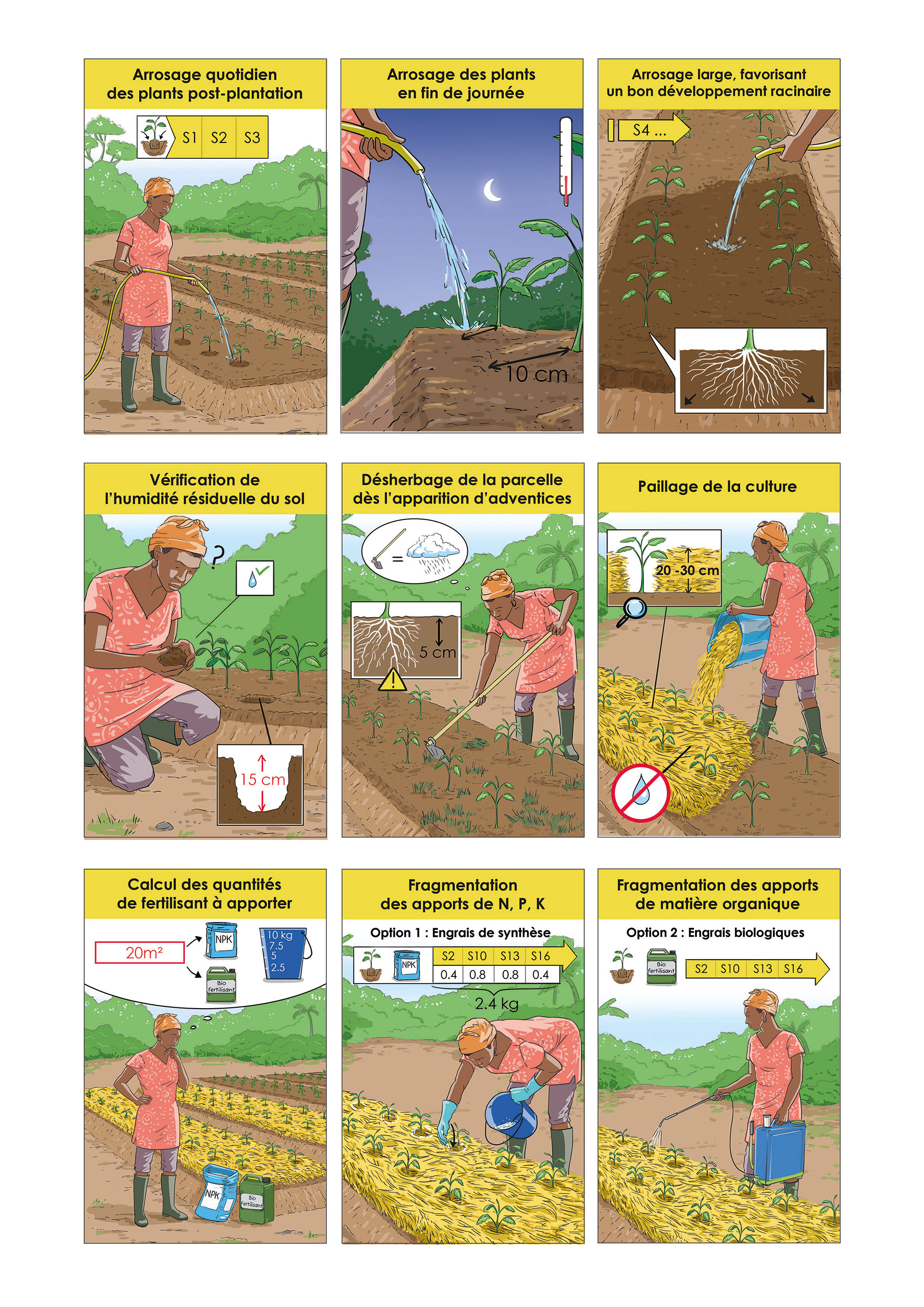 Planche de bande dessinée, agriculture