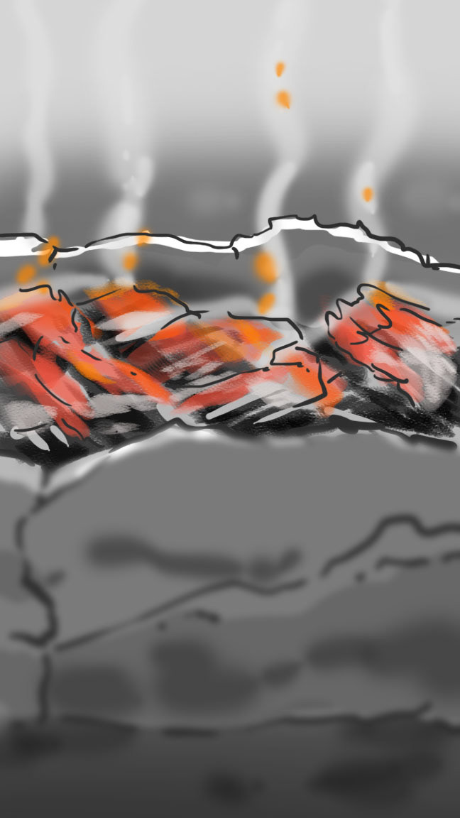 détail storyboard braises