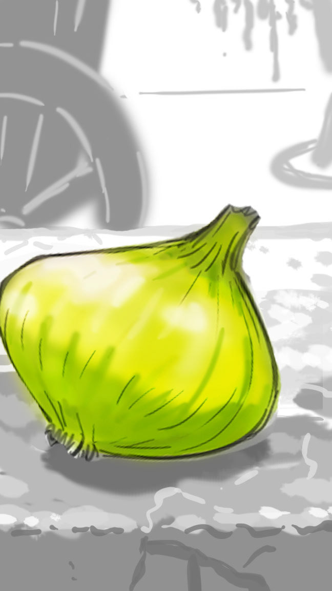 détail storyboard oignon blanc