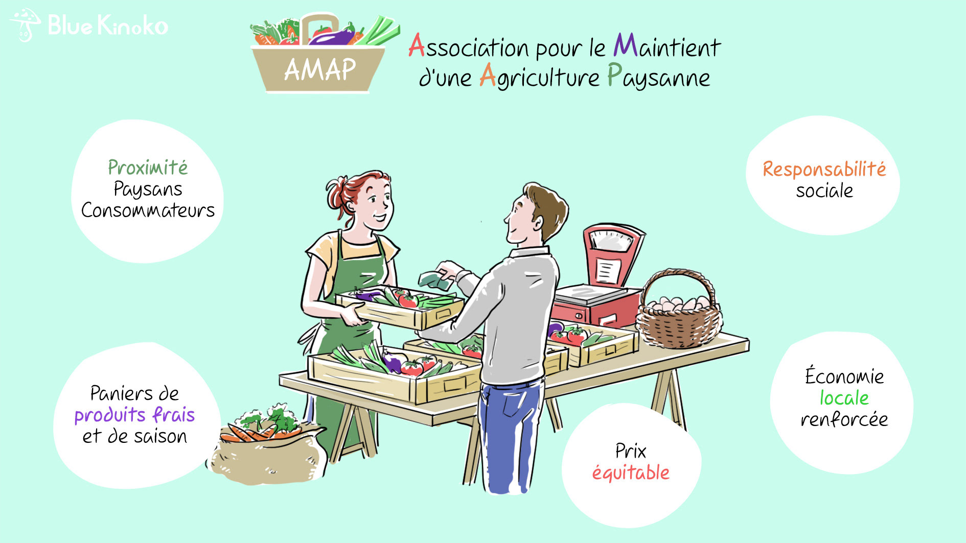 Fiche pédagogique illustrée sur le principe d'une AMAP (association pour le maintien d'une agriculture paysanne)