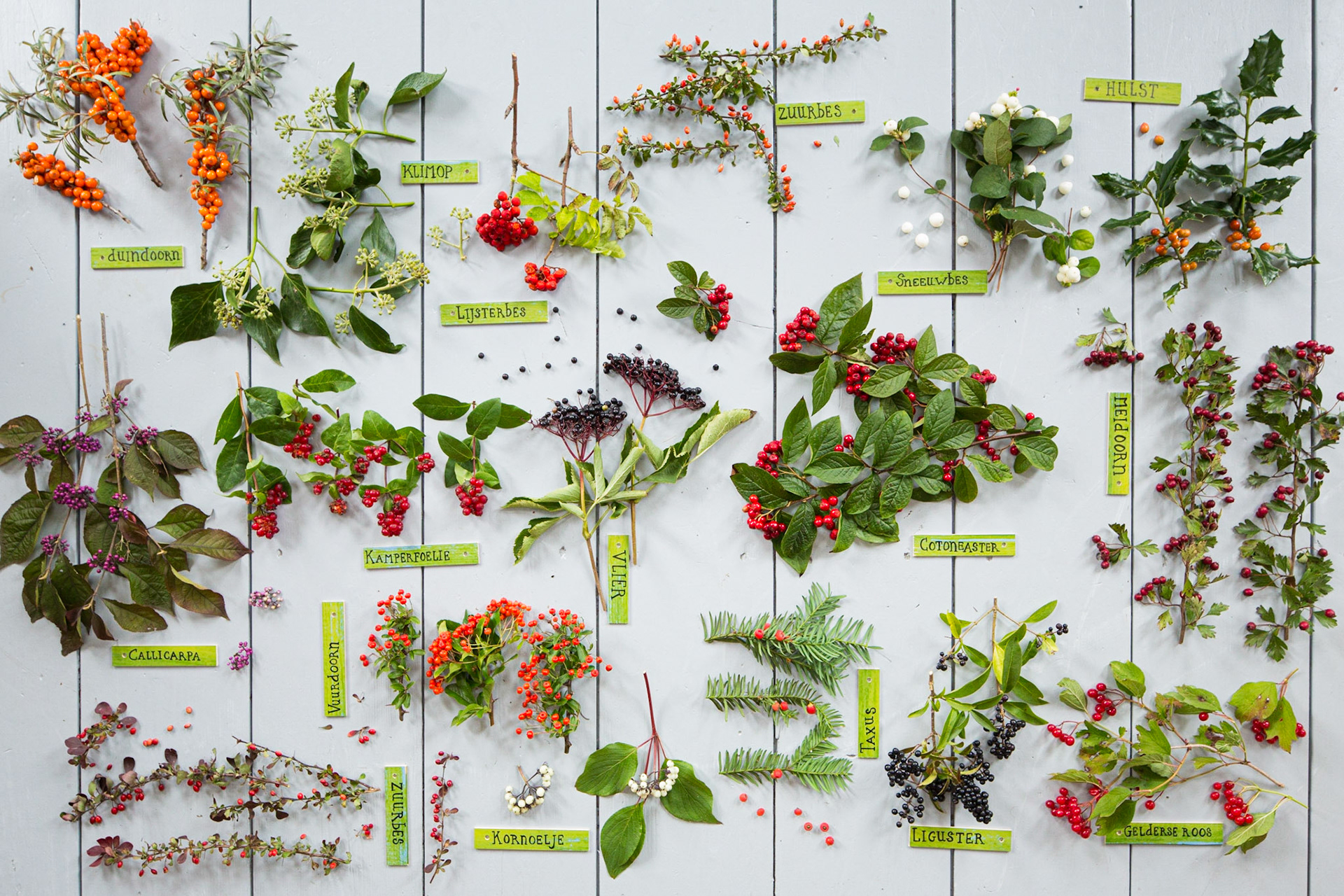 Spread met bessen en naambordjes; Spread with berries and nametags