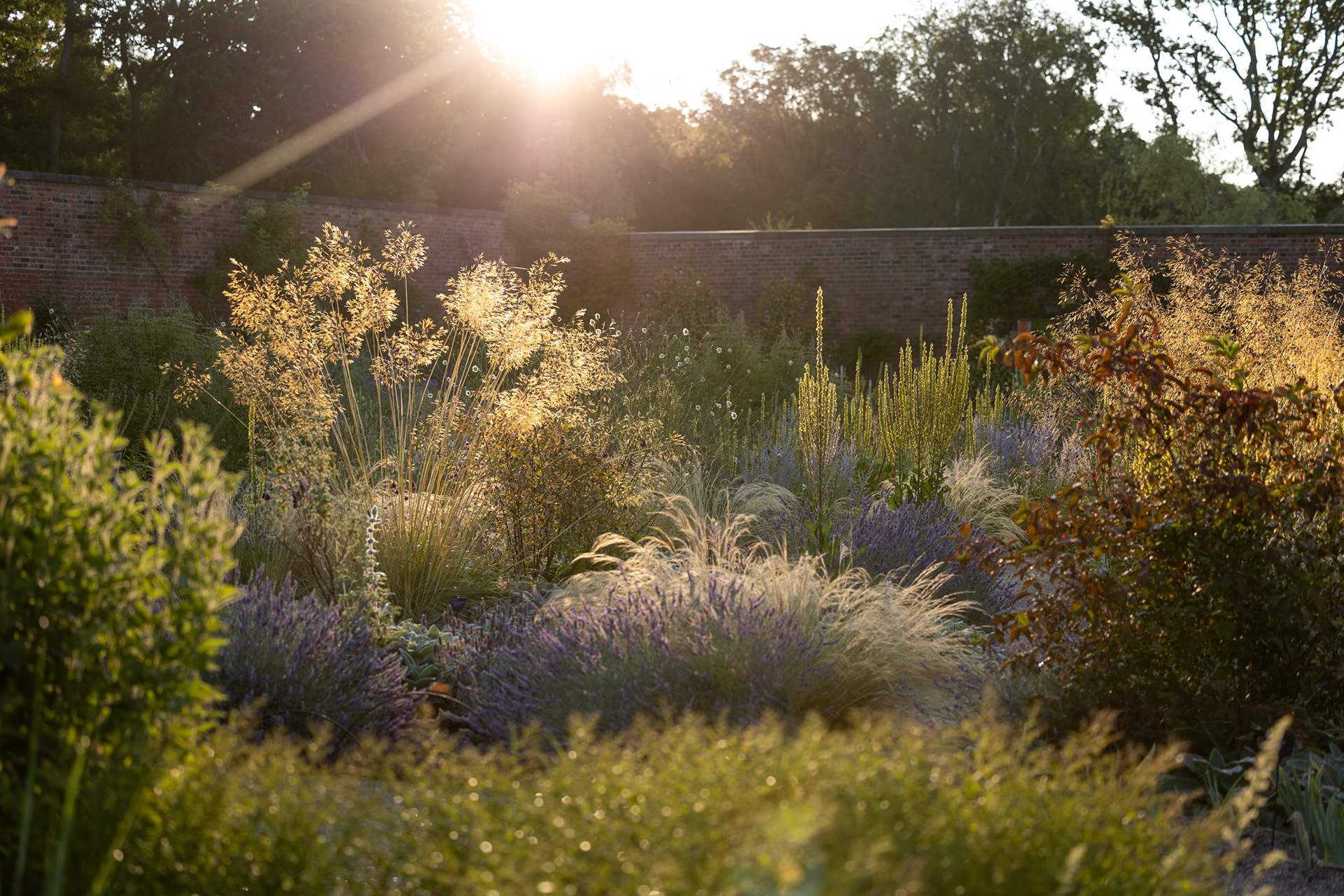 A photograph of a walled garden at sunrise