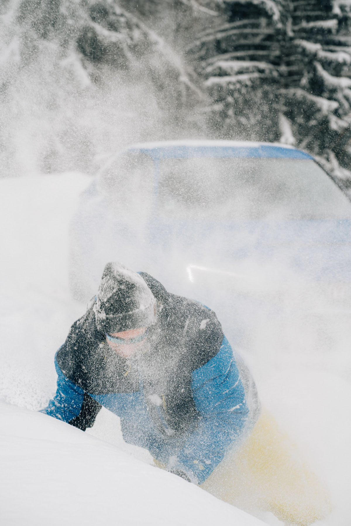 Type R FL5 X Alain Bernard