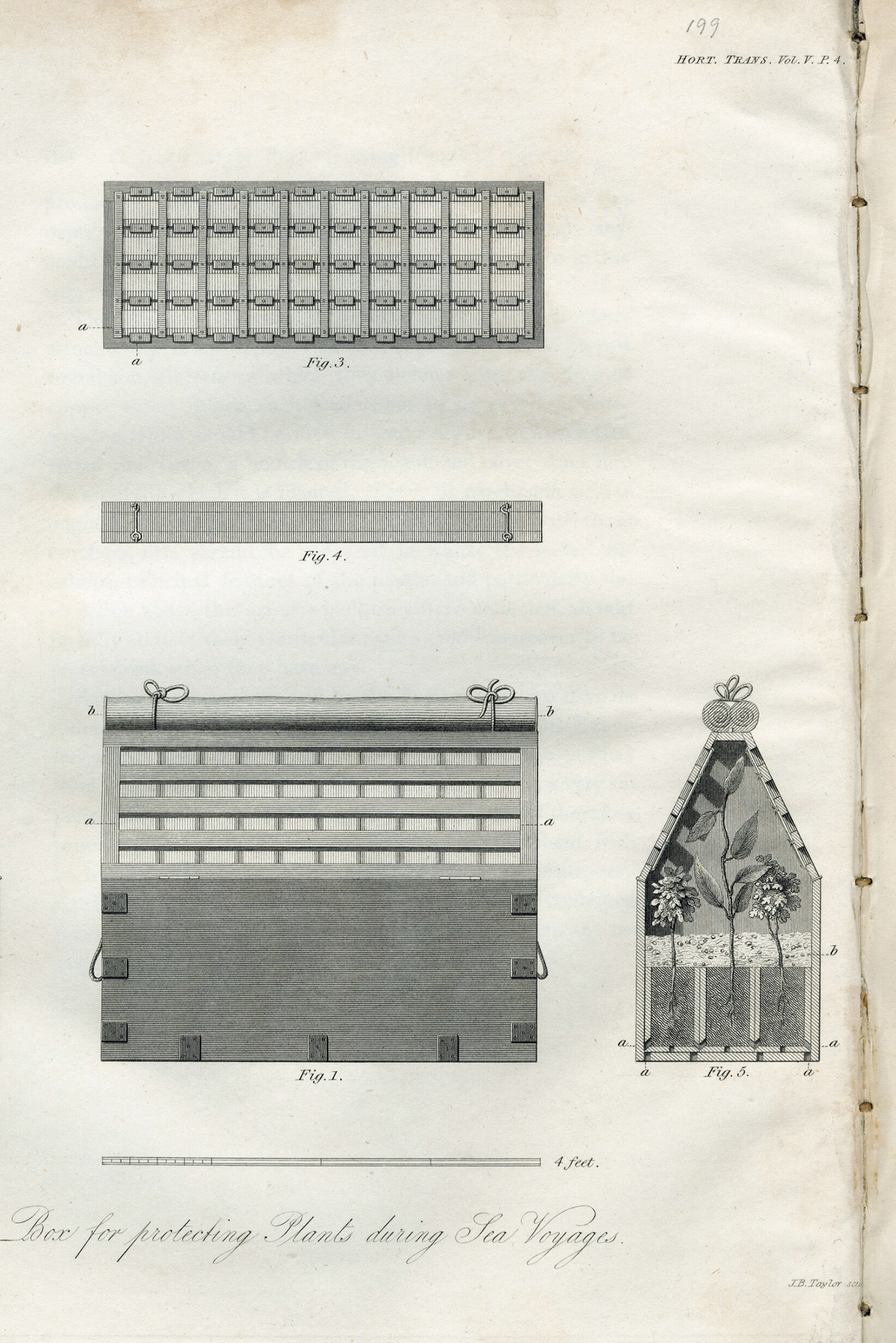 Reference: Patent Wardian Case