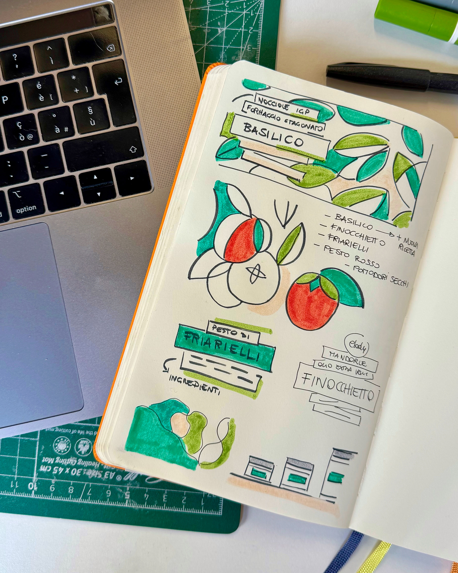 Sketch per Packaging illustrato realizzato da Helga Aversa illustratrice e designer per Elody pesto