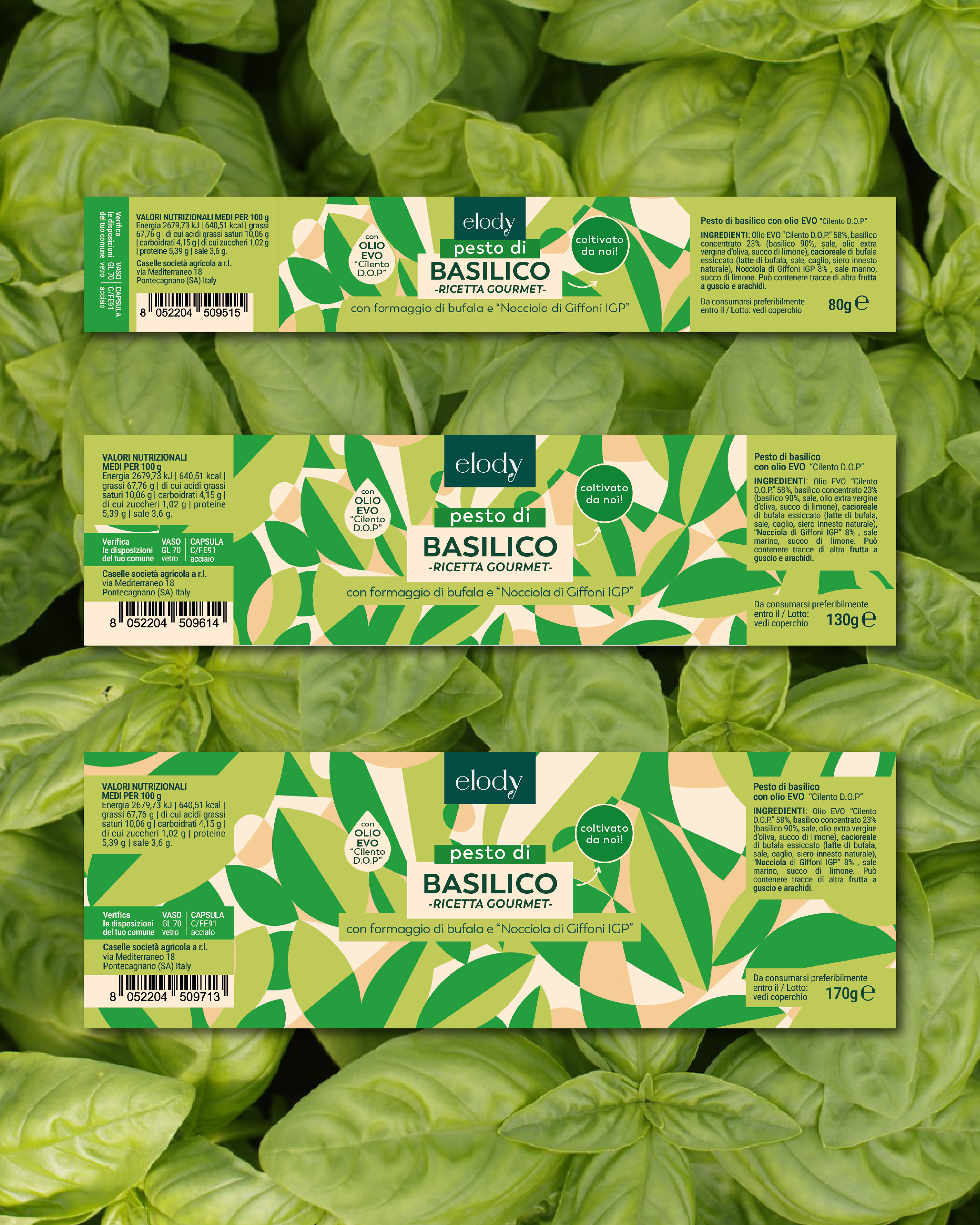 Packaging illustrato realizzato da Helga Aversa illustratrice e designer per Elody pesto basilico