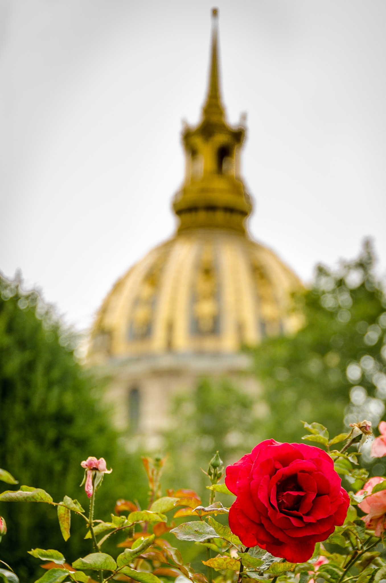 Looking out from Rodin