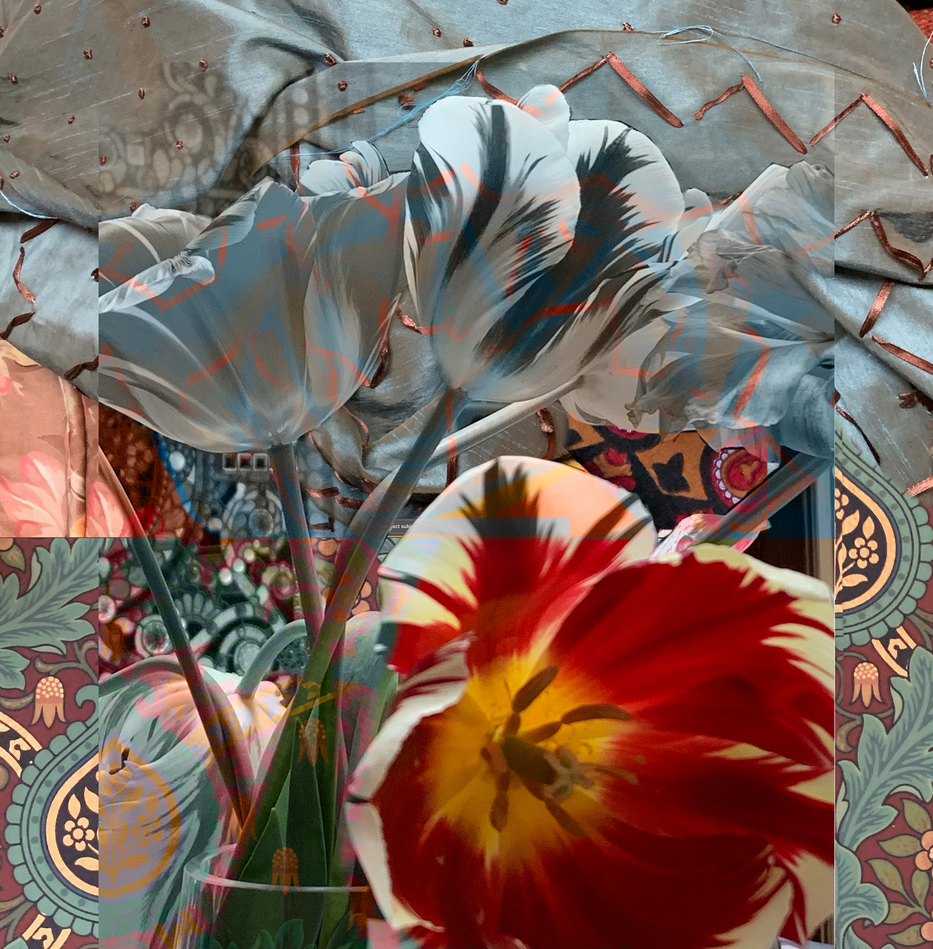 ghost tulips assemblage