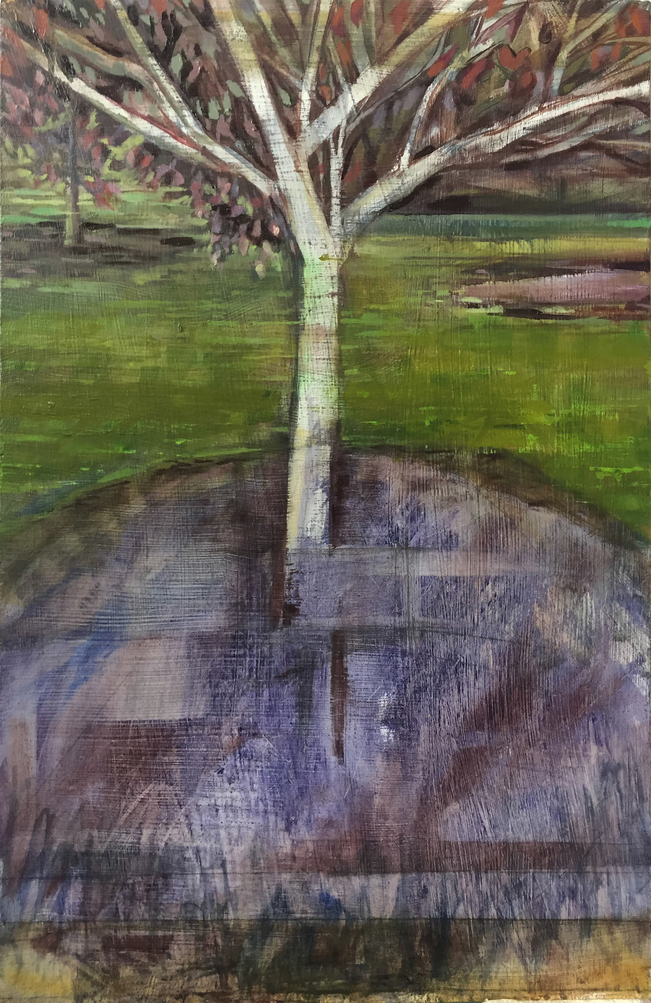 Forest Pansy Redbud, Oil on panel, 12" x 18.5", 2018 | SOLD