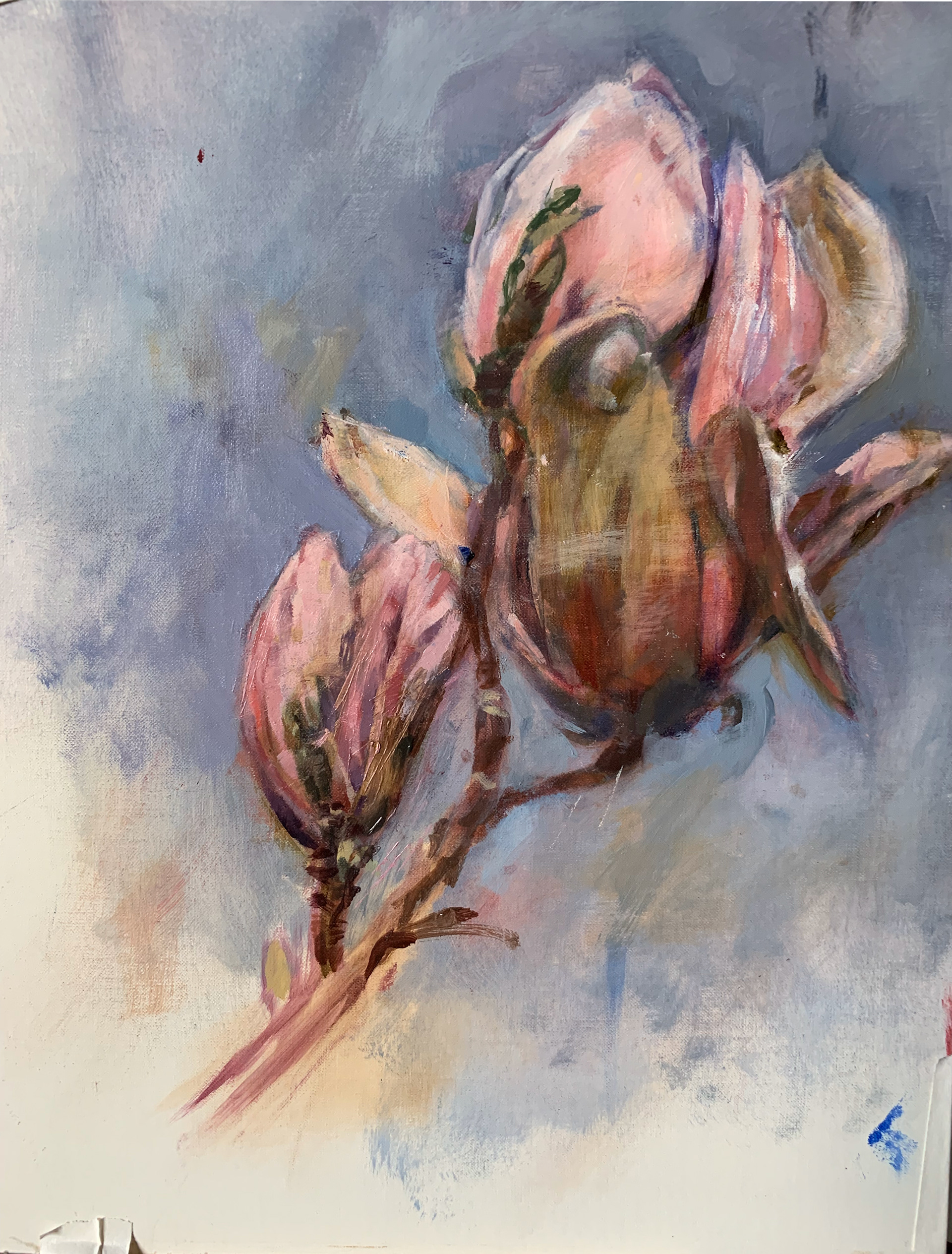 Magnificent Magnolia, Oil on linen panel, 10" x 12", 2019