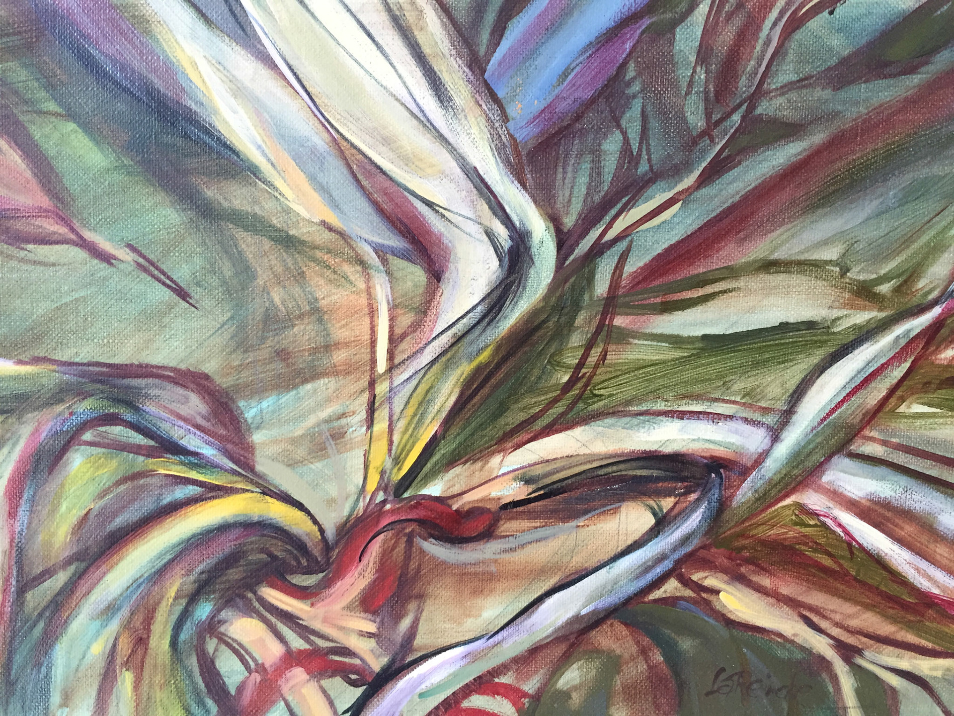 Peony Petals, Oil on linen, 16" x 10", 2014
