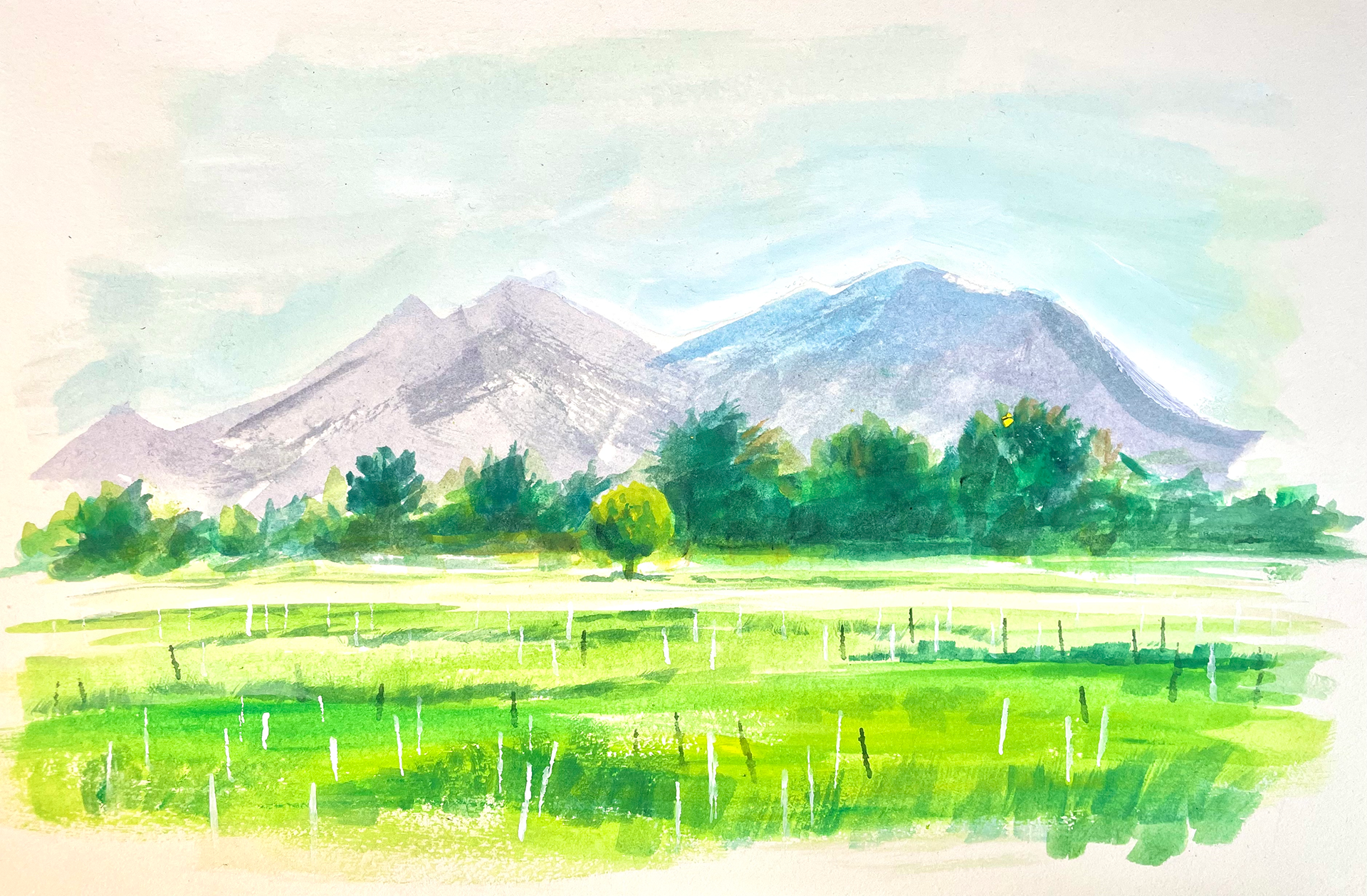 IRRI - Los Baños. Gouache. 2024.
