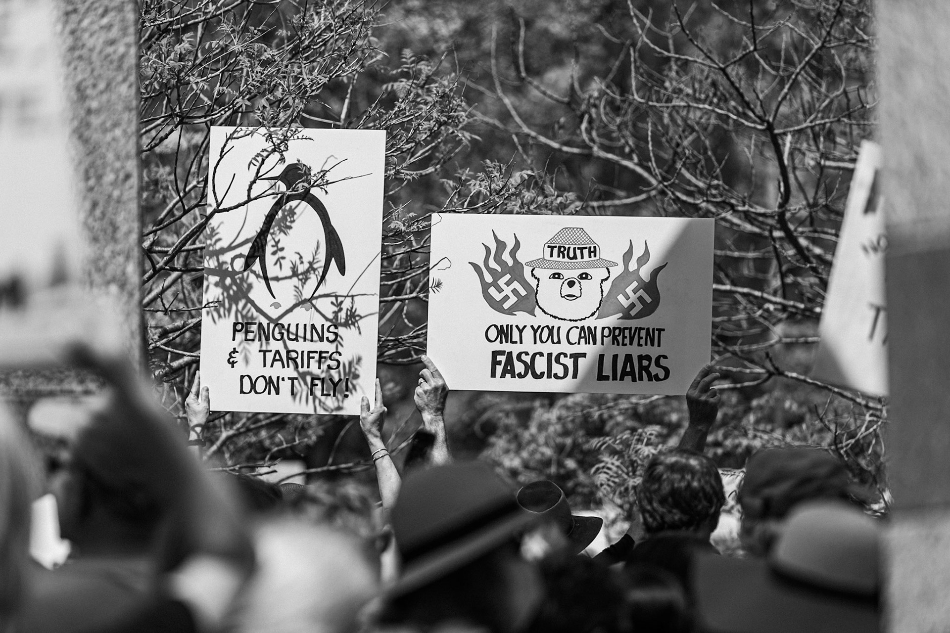 Hands Off Protest - 2025