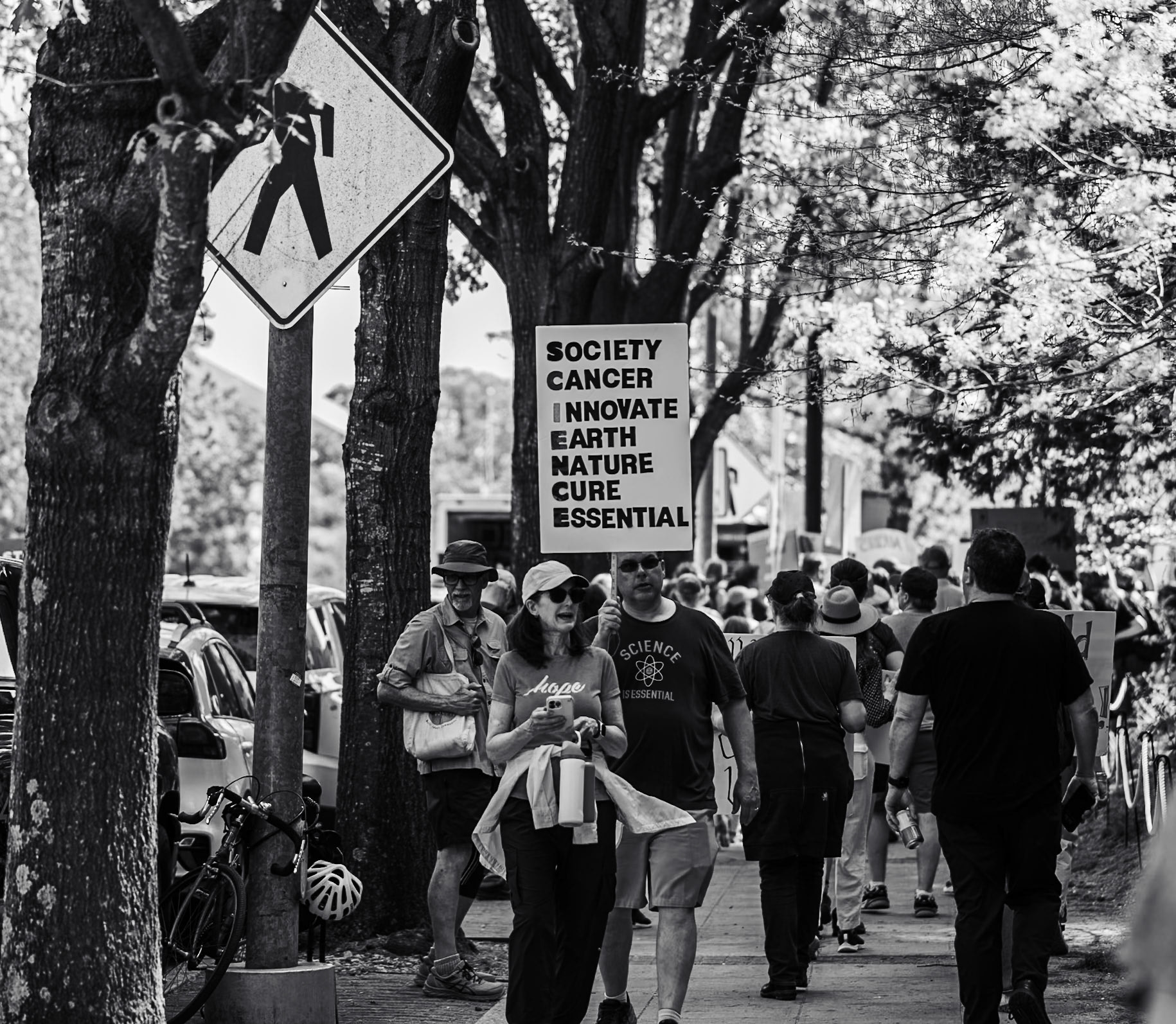 Hands Off Protest - 2025