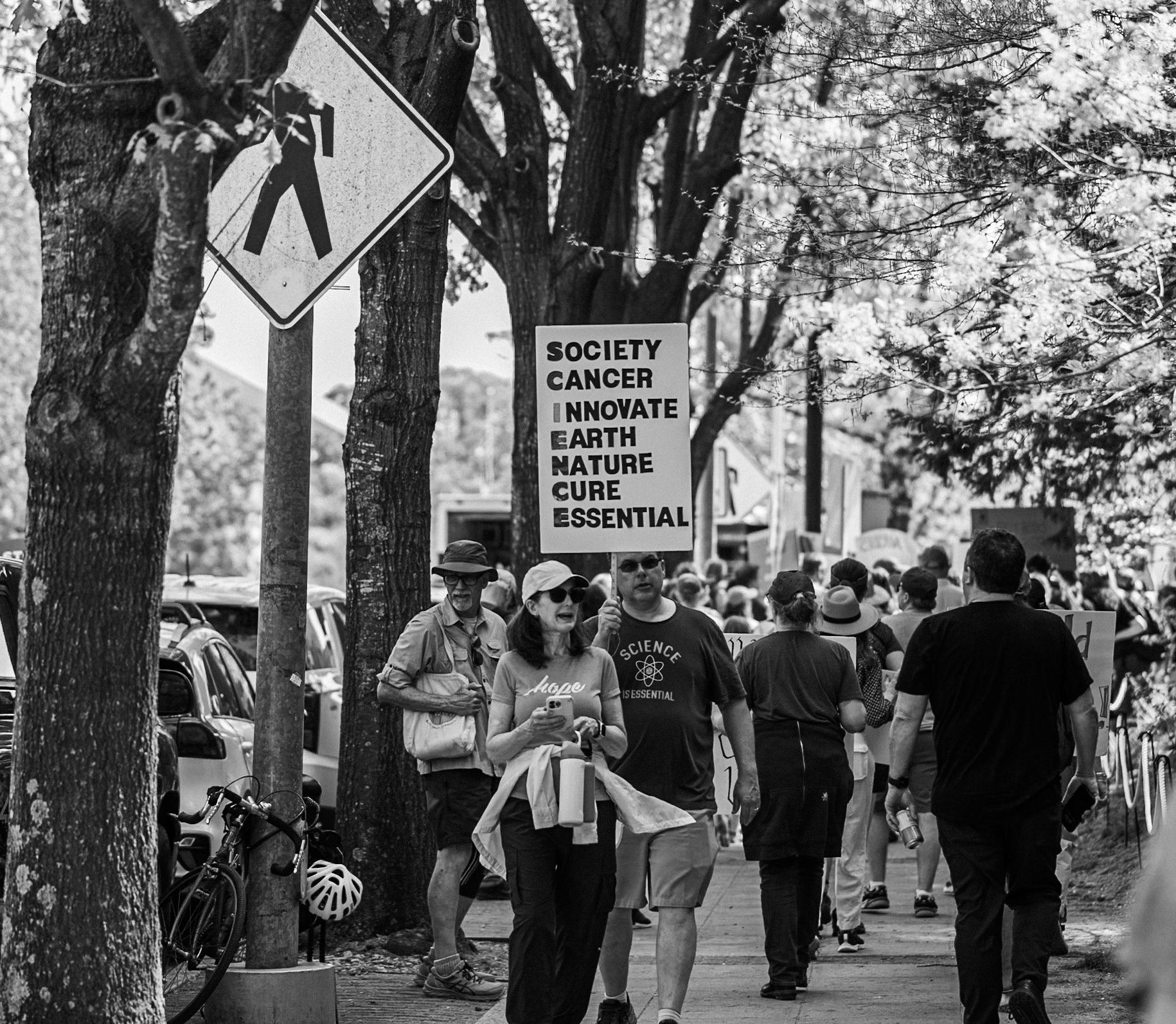 Hands Off Protest - 2025