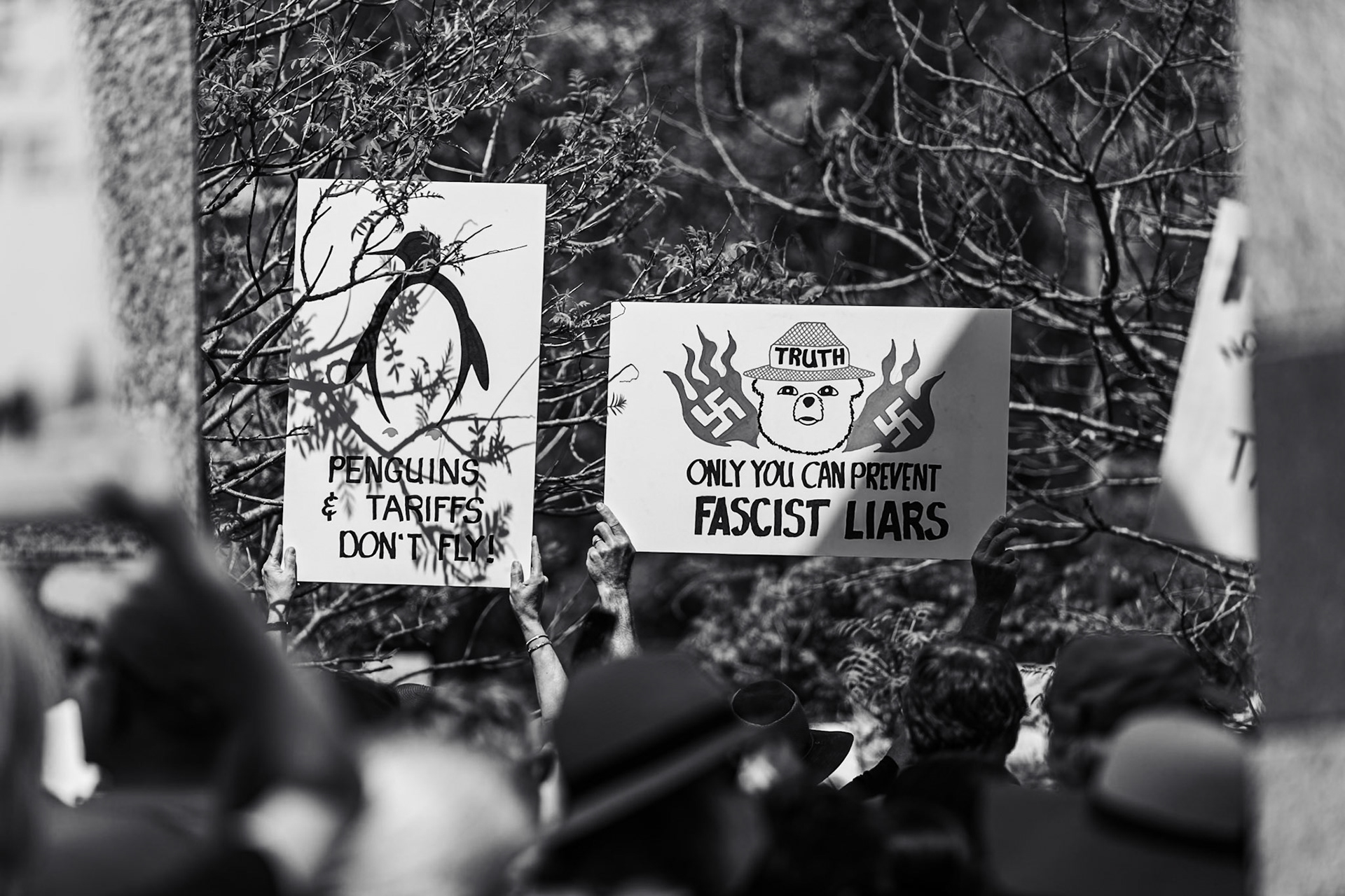 Hands Off Protest - 2025