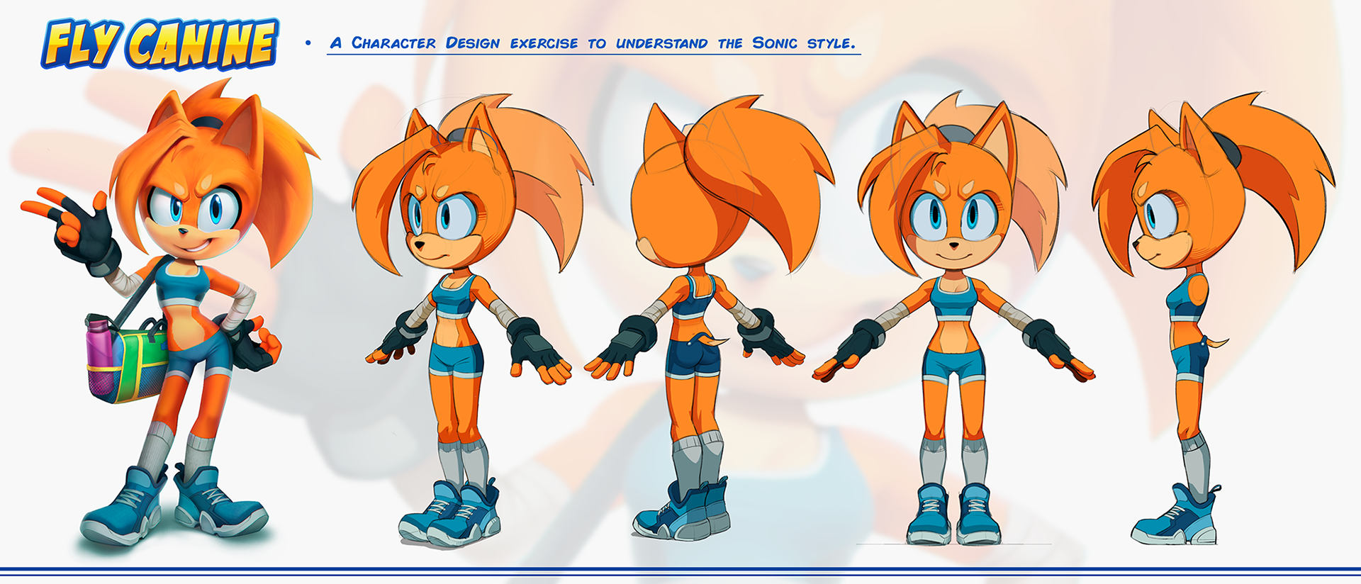 Fly Canine - Sonic Style Character Design