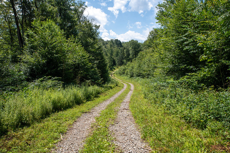 Rich Mountain Fire Trail - Kumbrabow State Forest, WV