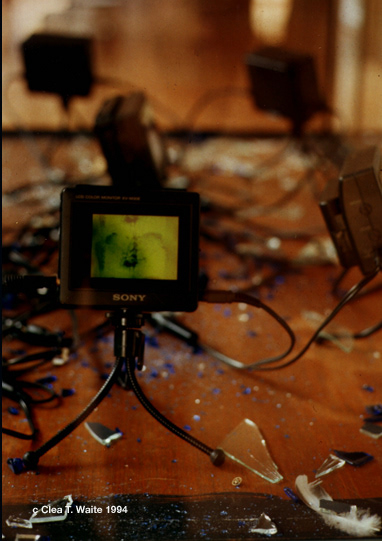 Talisman (nothing broke but the heart) [1994] Two channel video installation: computer generated animation, digital Echo Planar Images (EPI), LCD monitors, objects. 