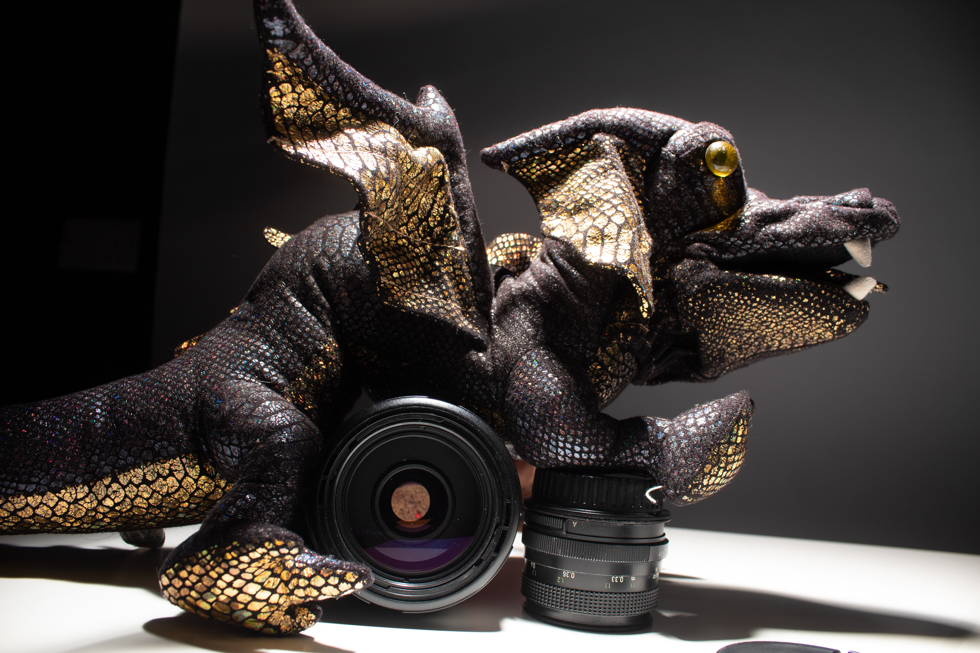 How many Dragons can you see?