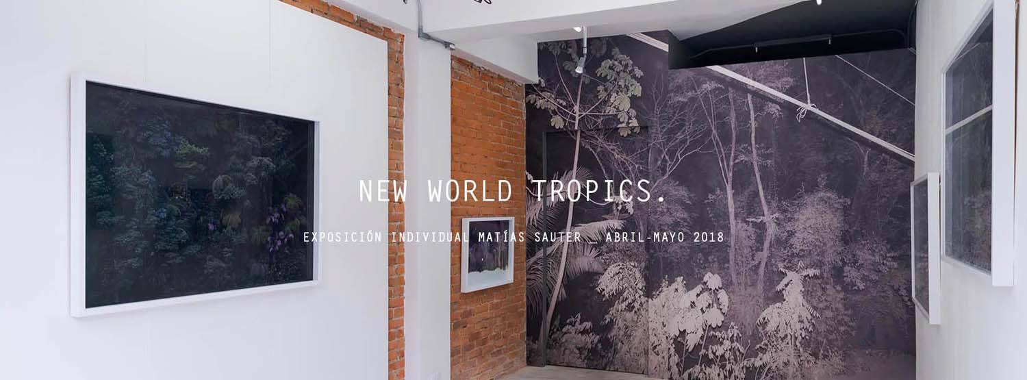 "New World Tropics" Solo Exhibition at 24/7 Gallery, SJ Costa Rica