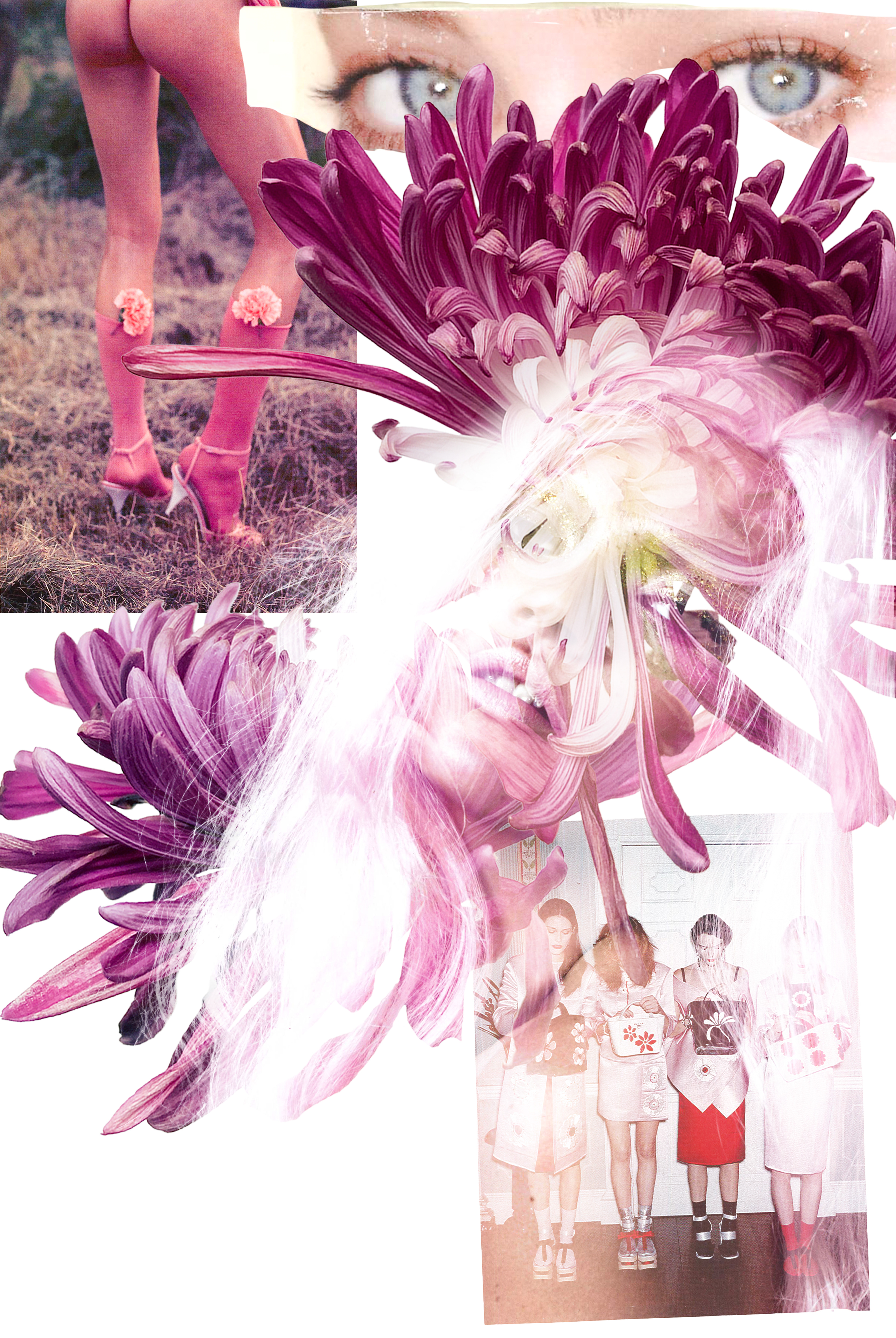 Craving Rose, 2025