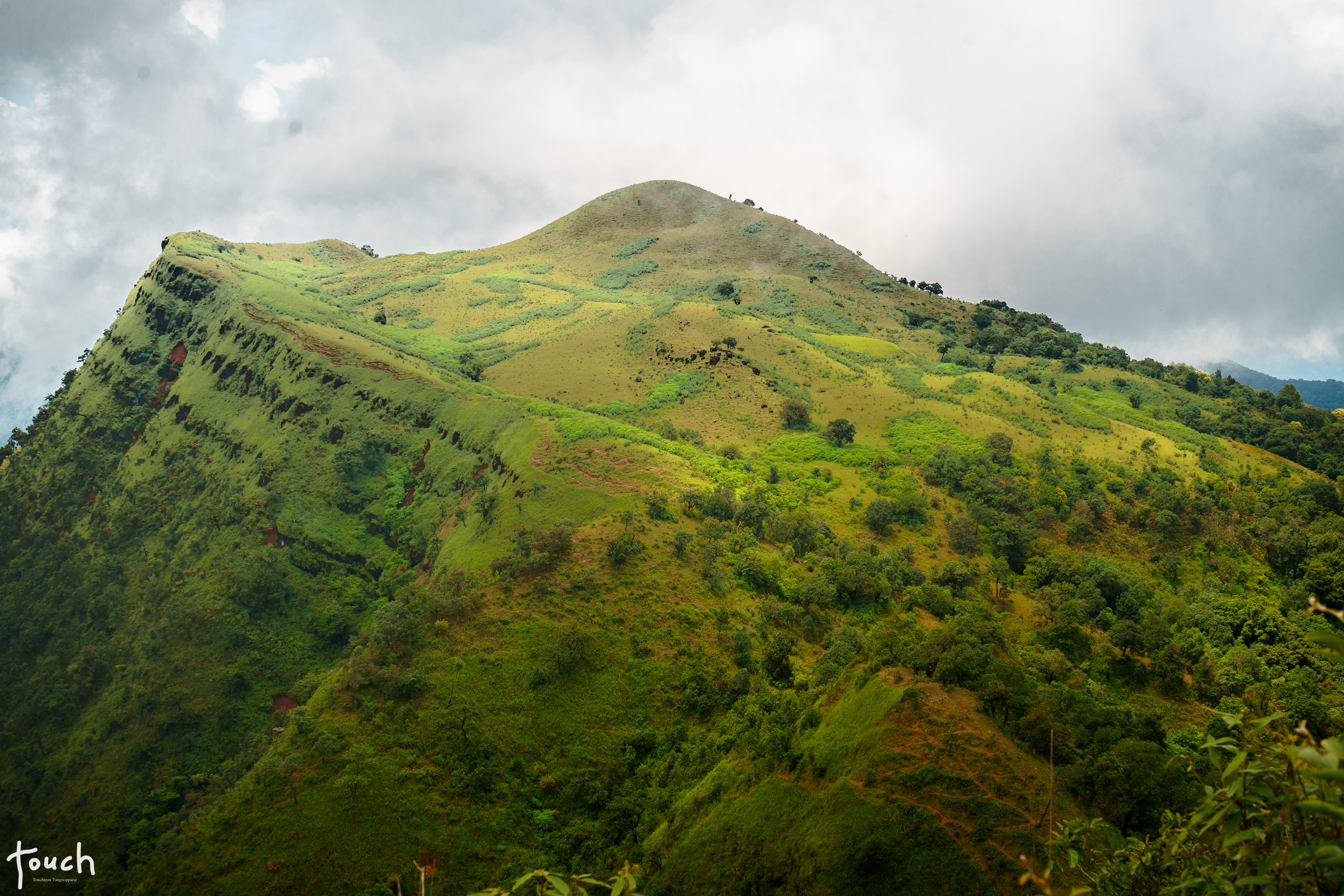 A7ii + FE 28-70mm @Pui luang Mountain, Mae Hong Son