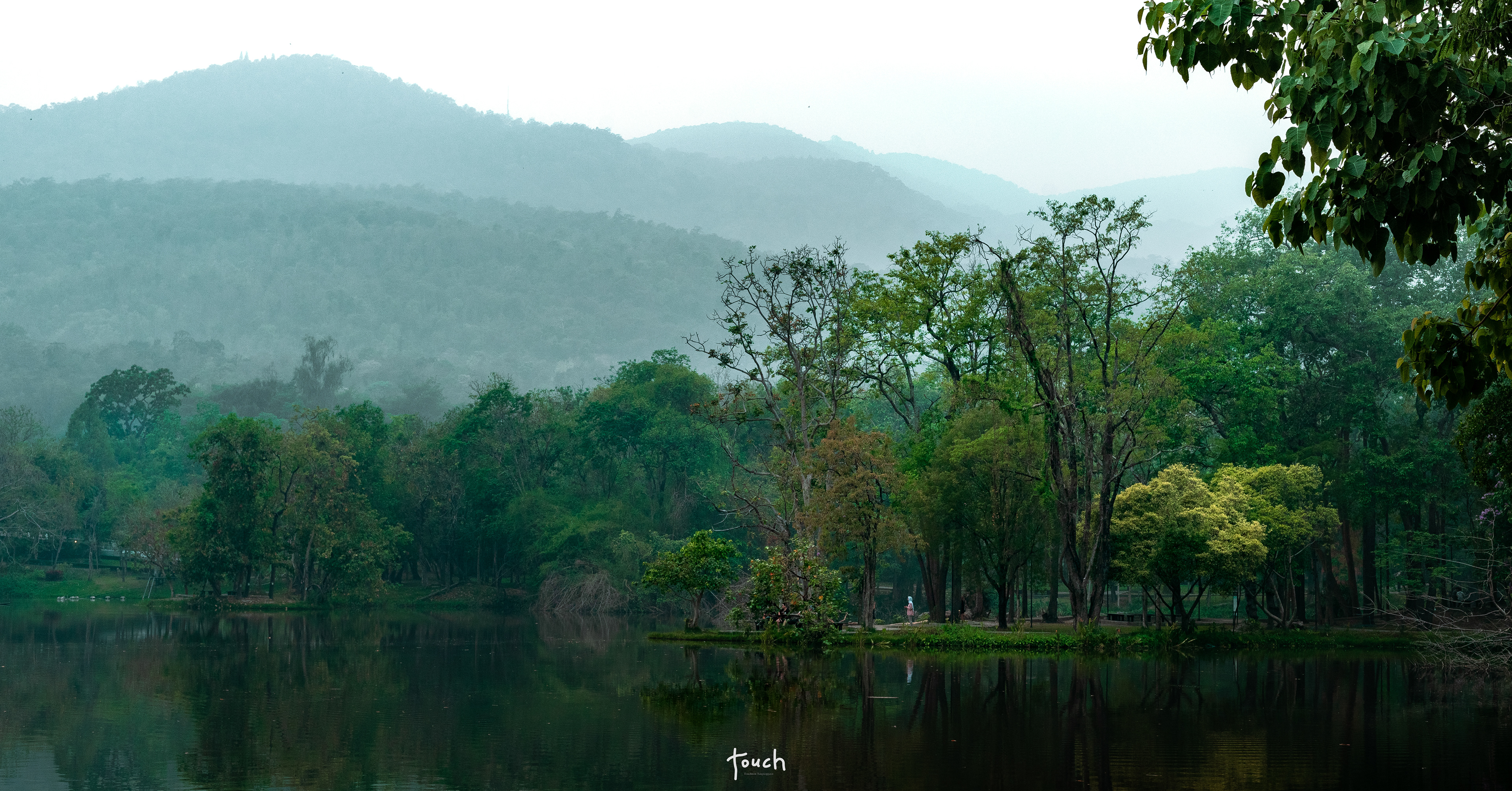 A7ii + FE 50mm @Ang Kaew, Chiang Mai