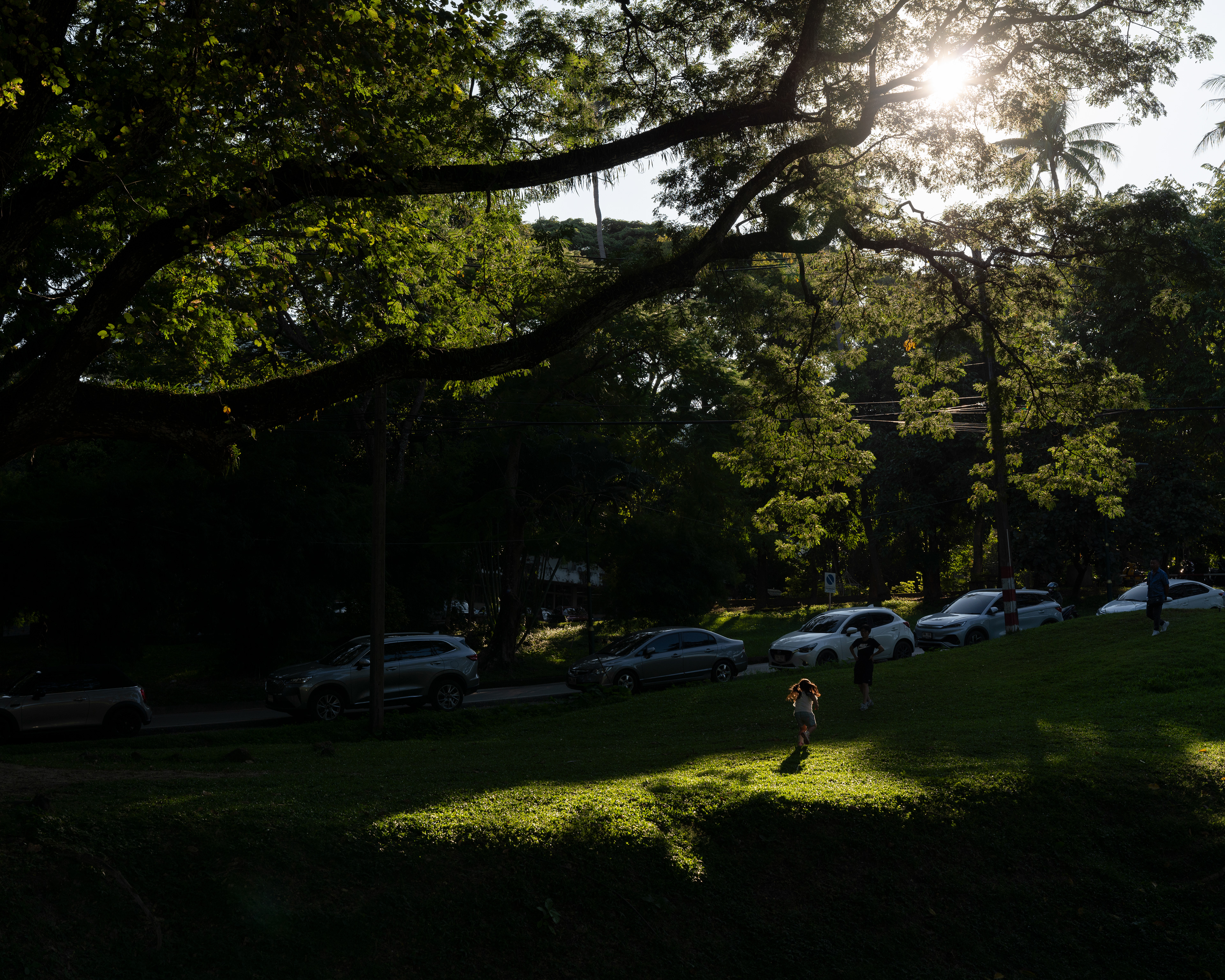 A7Riii + Sigma FE 24-70mm F2.8 DG DN (A) @Chiangmai University, Chiangmai