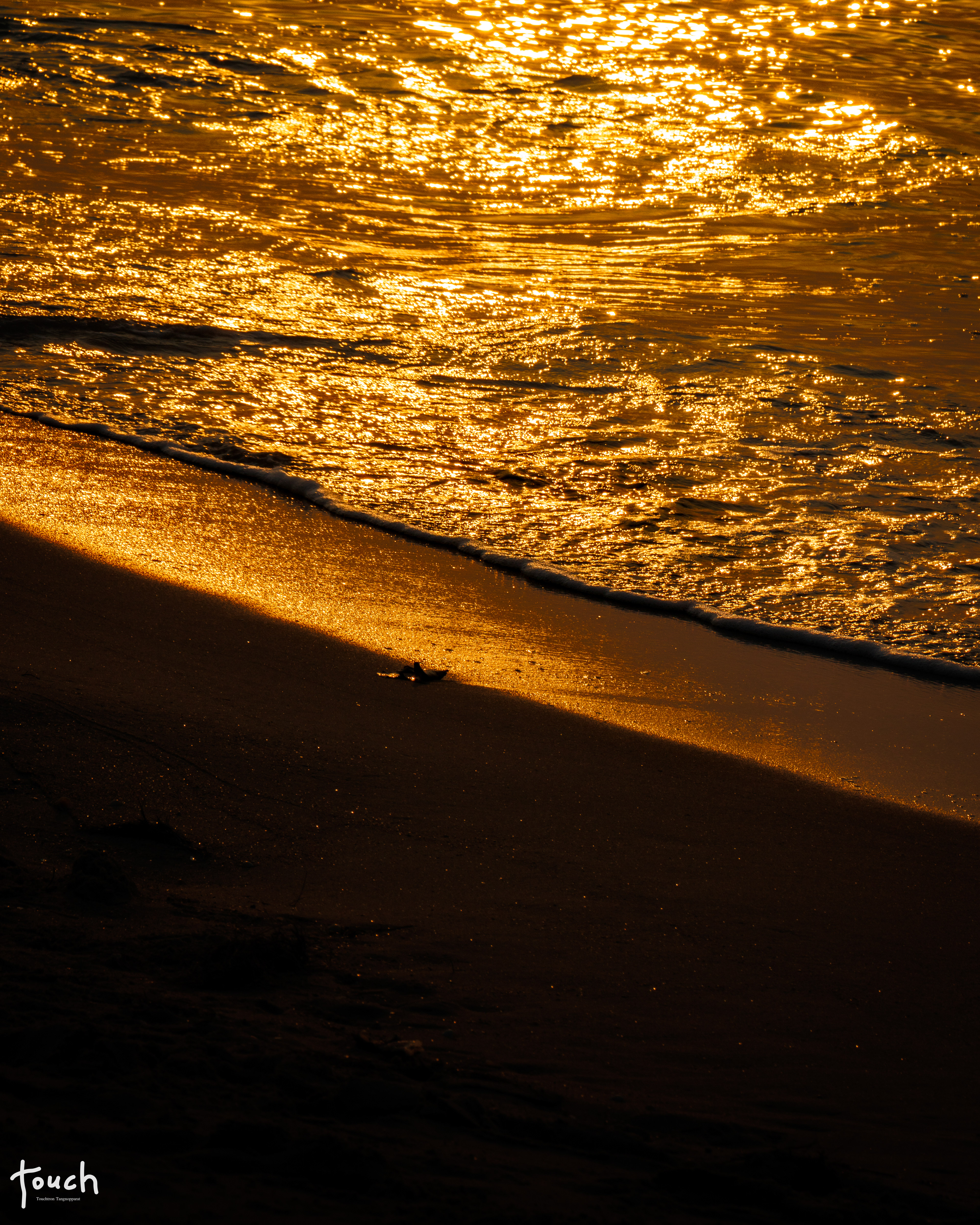 M50ii + Tamron 70-200mm f2.8 g2 @Duangtawan Beach, Rayong