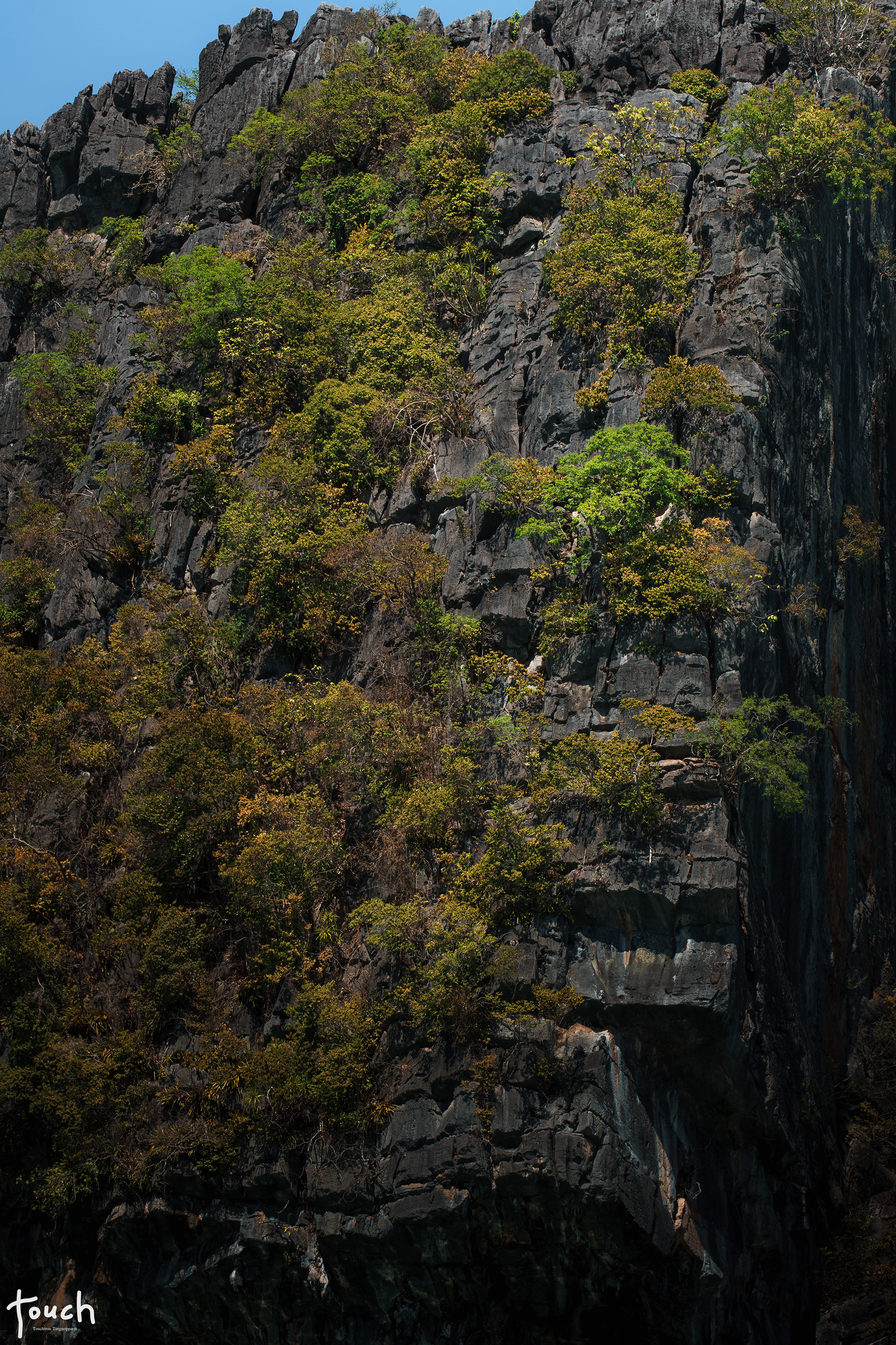 A7ii + Tamron 70-200mm f2.8 g2 @Koh Tarutao, Satun
