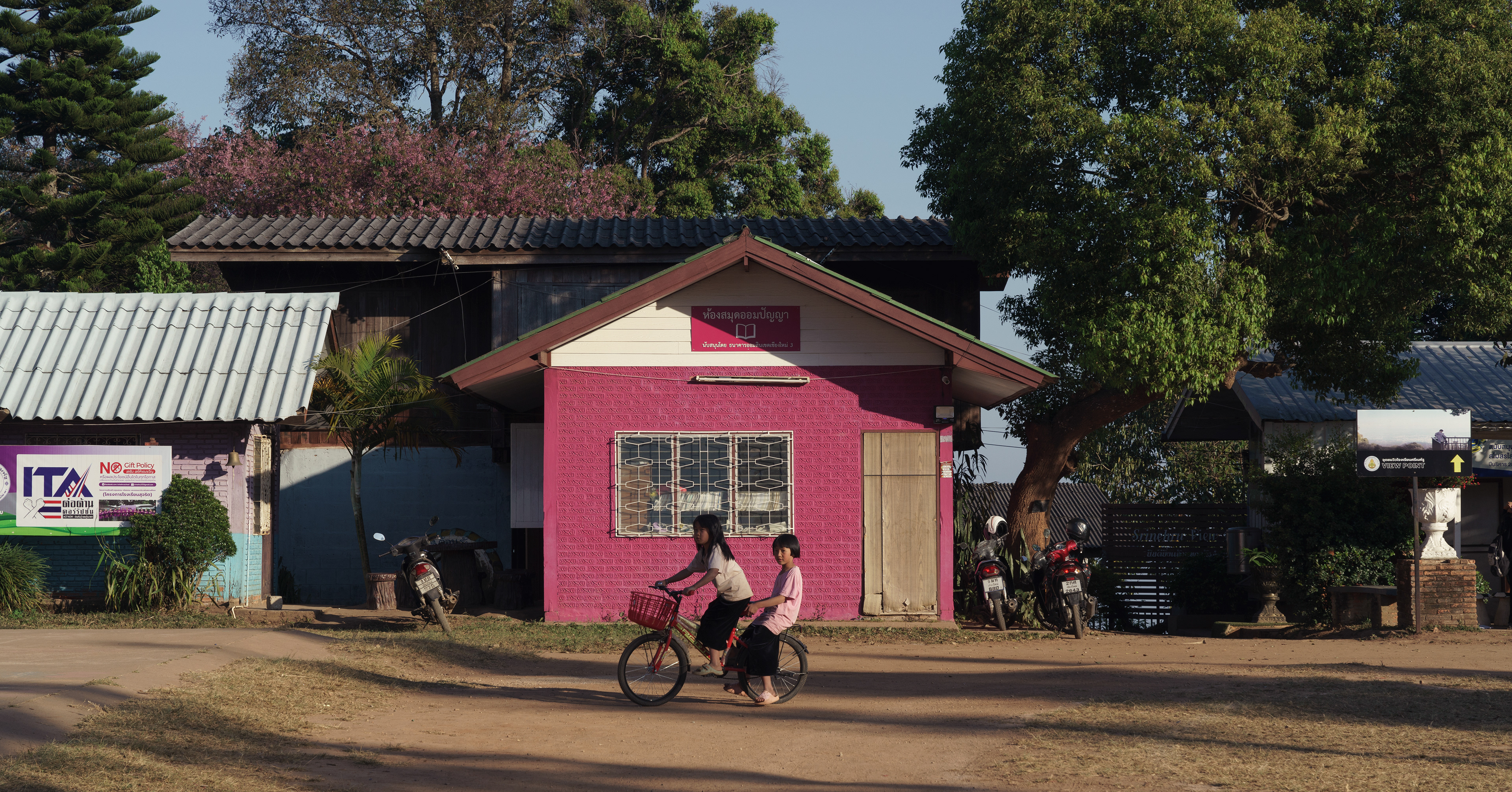A7Riii + Sigma FE 24-70mm F2.8 DG DN (A) @Khun Chang Khian, Chiangmai