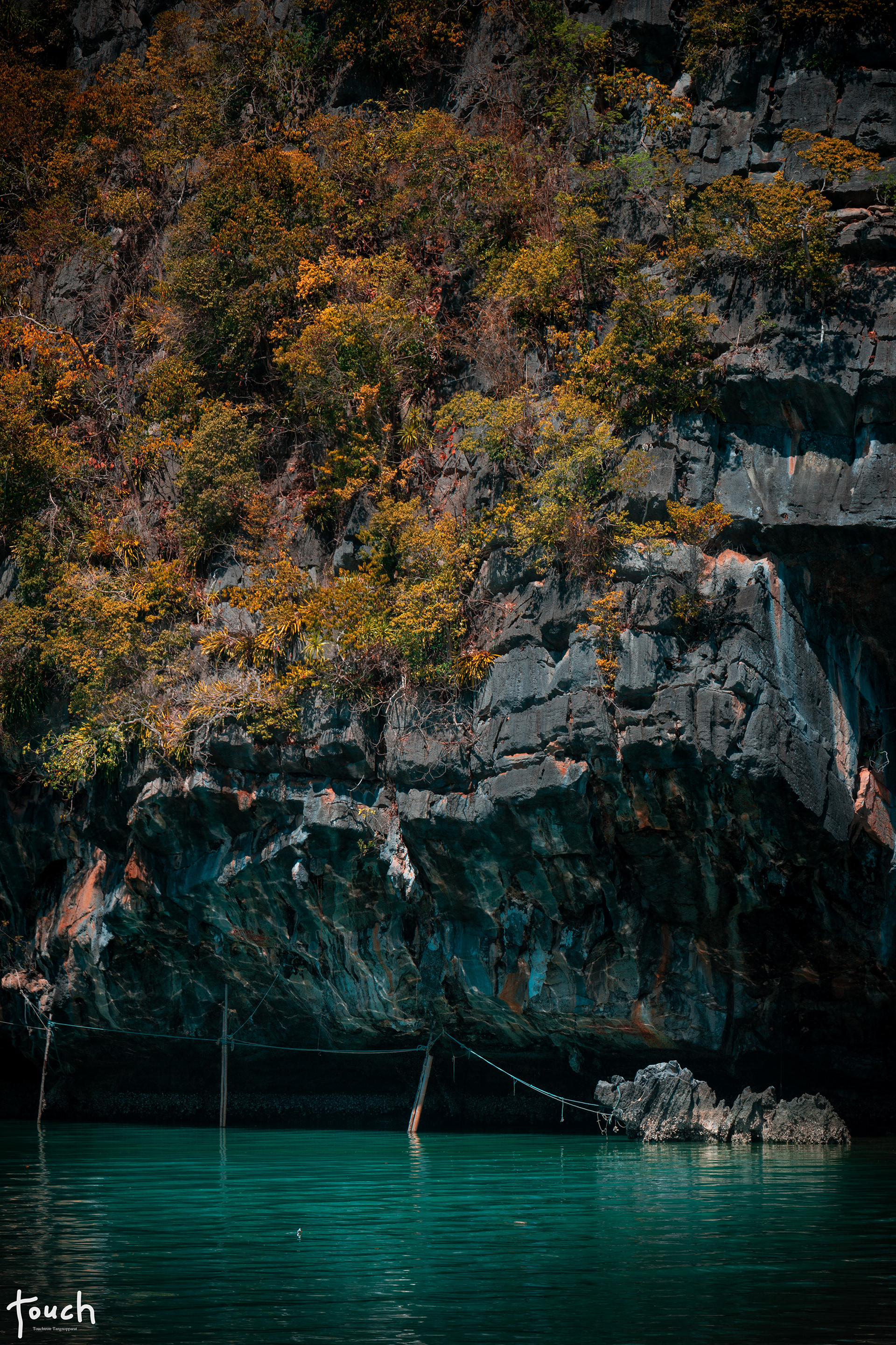 A7ii + Tamron 70-200mm f2.8 g2 (Color-Shift) @Koh Tarutao, Satun