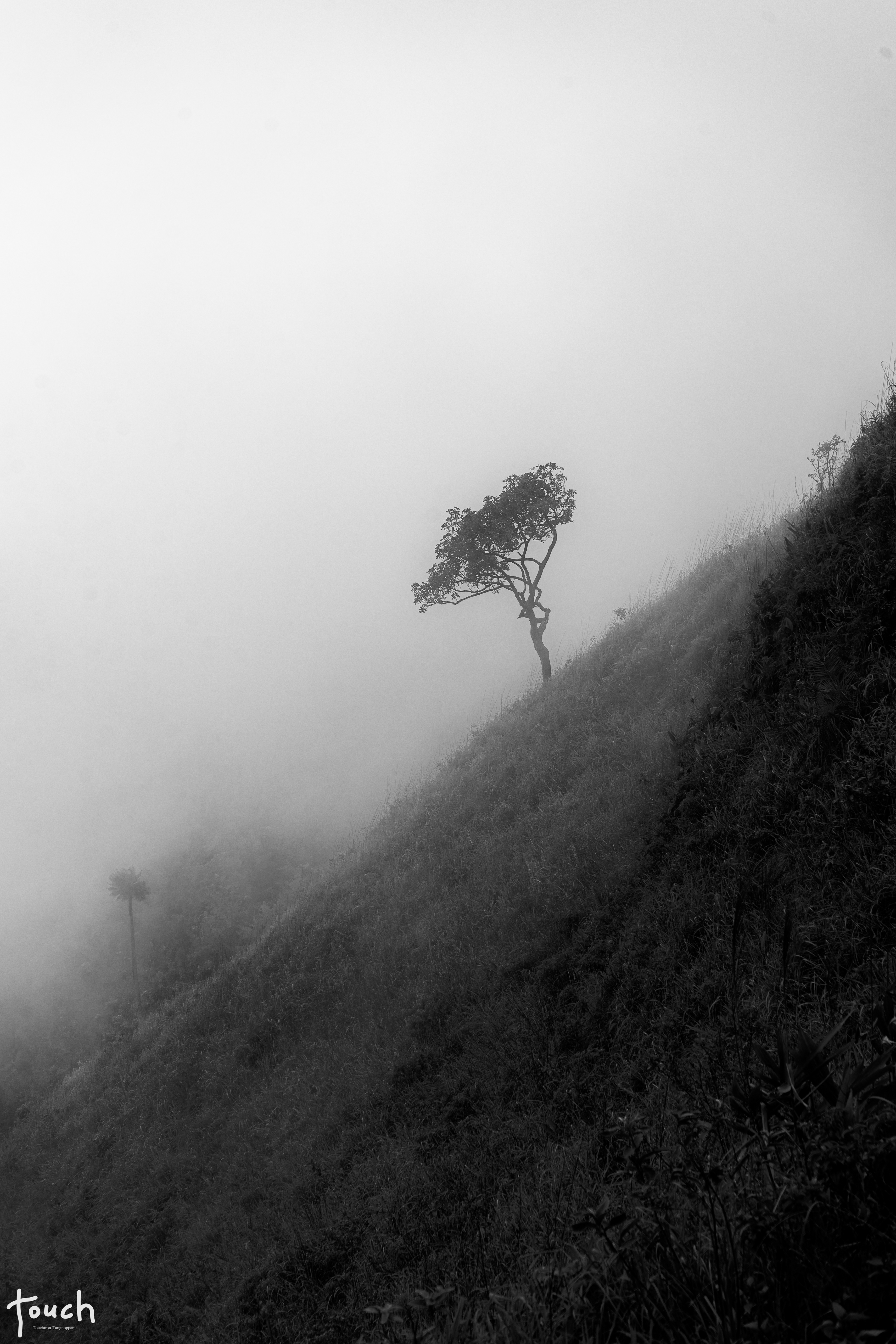 A7ii + FE 28-70mm @Pui luang Mountain, Mae Hong Son