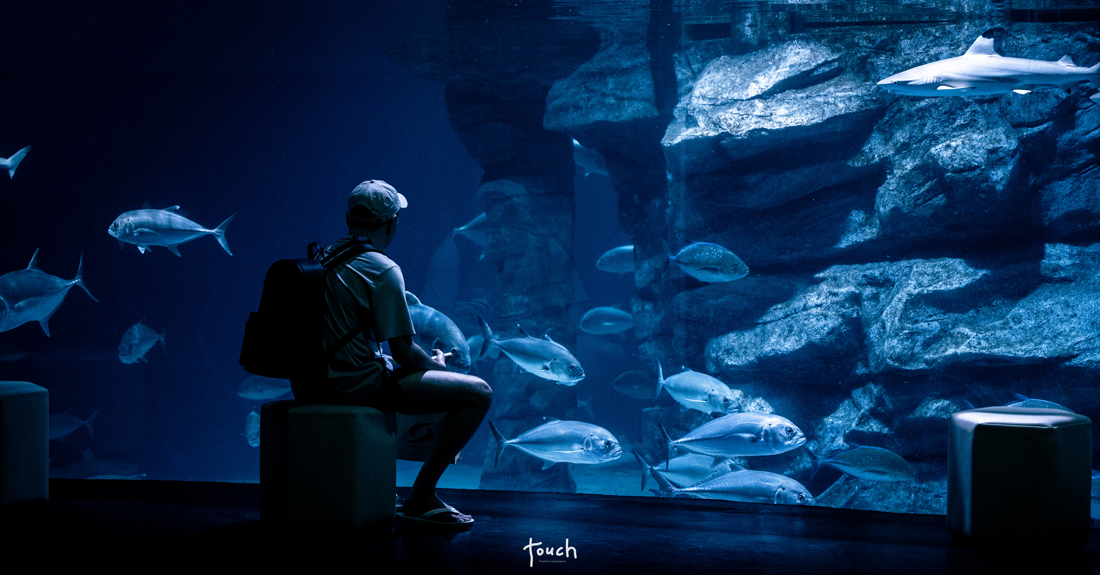 A7Riii + Sigma FE 24-70mm F2.8 DG DN (A) @Aquarium Central Phuket, Phuket