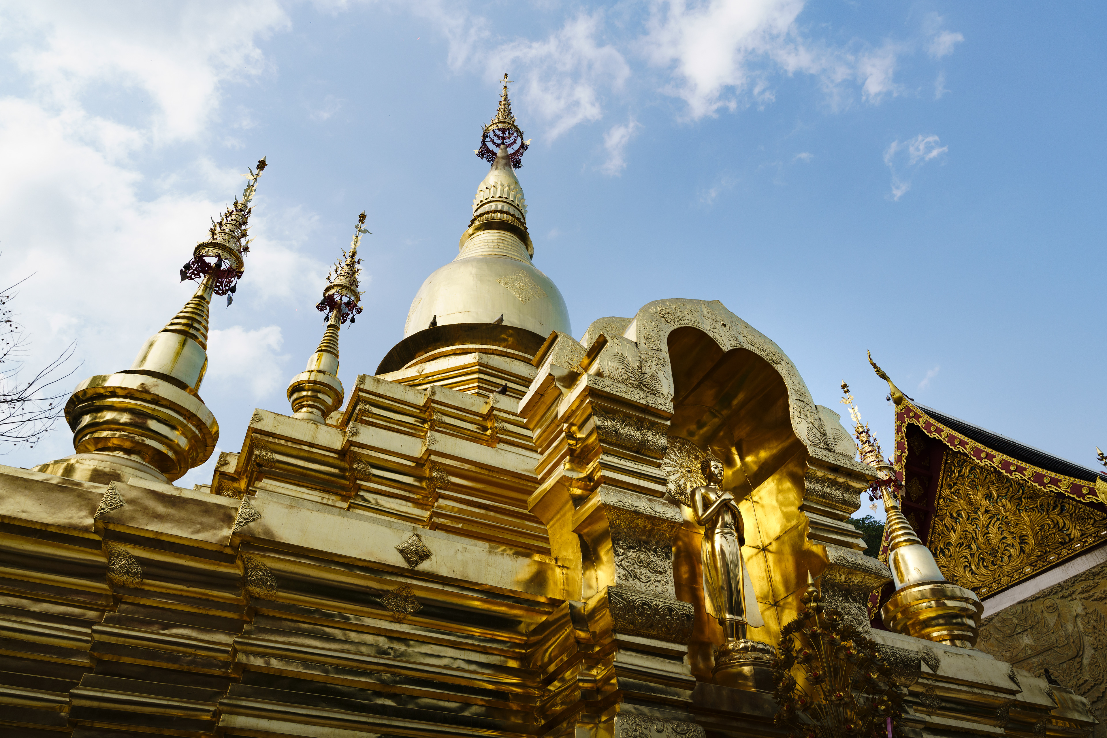 A7Riii + Sigma FE 24-70mm F2.8 DG DN (A) @Wat Chai Mongkhon, Chiangmai