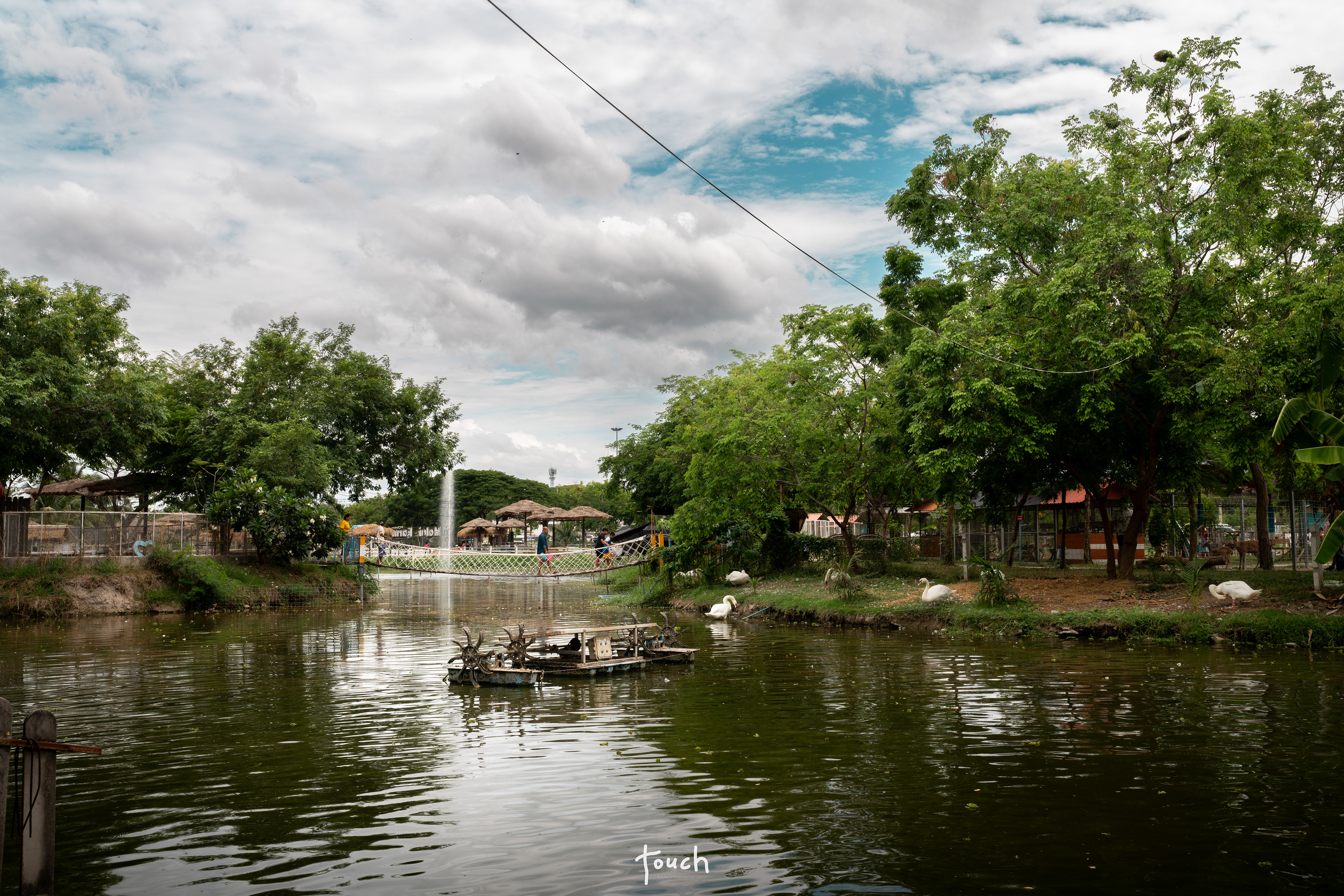 A7Riii + Sigma 35mm F1.4 (A) @Malai farm, Phetchaburi