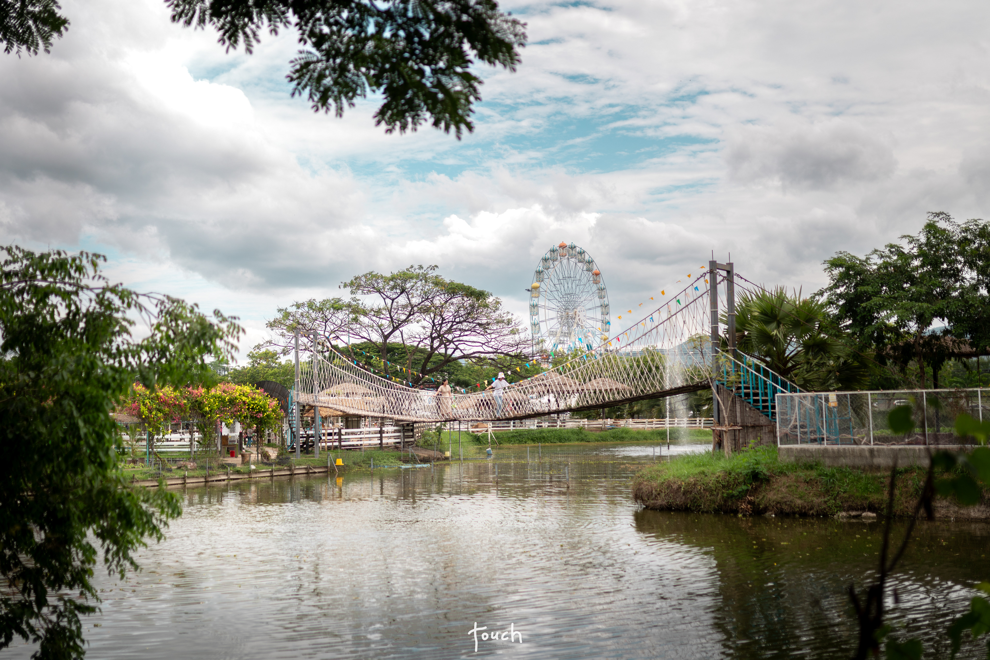 A7Riii + Sigma 35mm F1.4 (A) @Malai farm, Phetchaburi