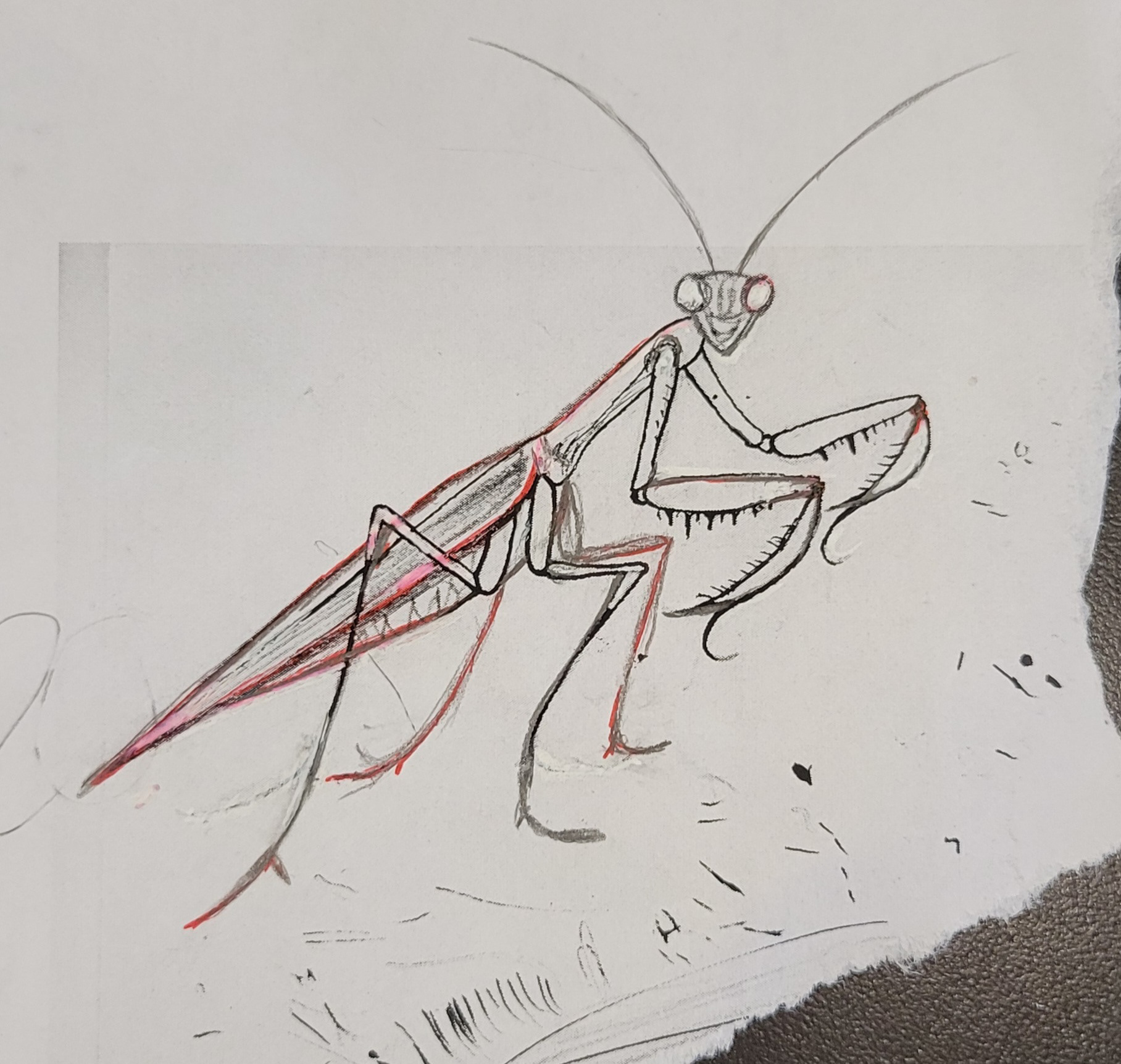 Inital praying mantis sketch