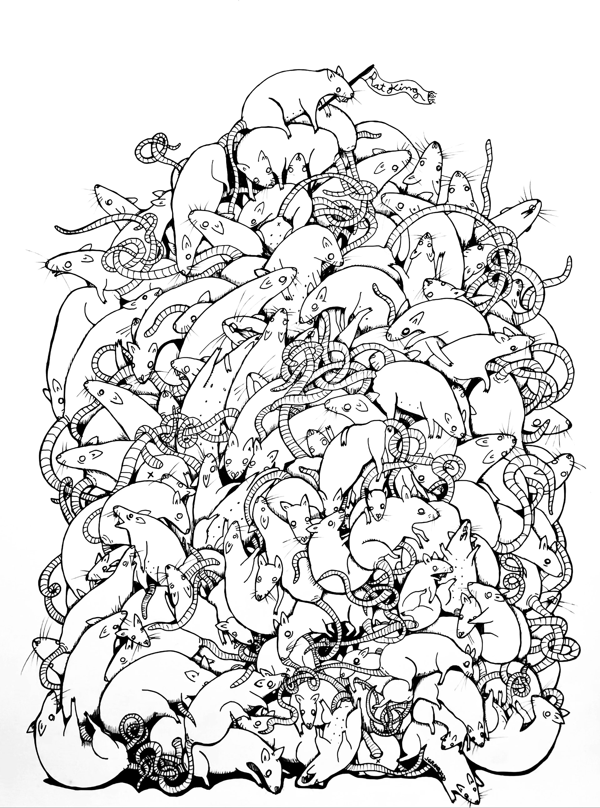Rat King 18x24