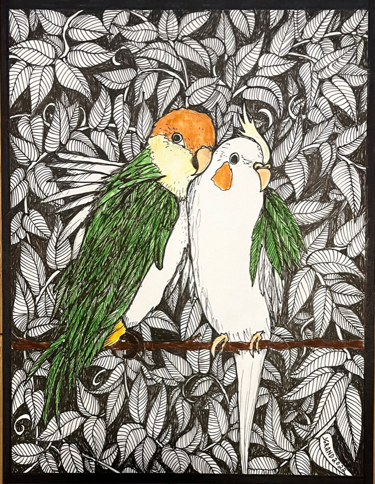 Judy's Birds