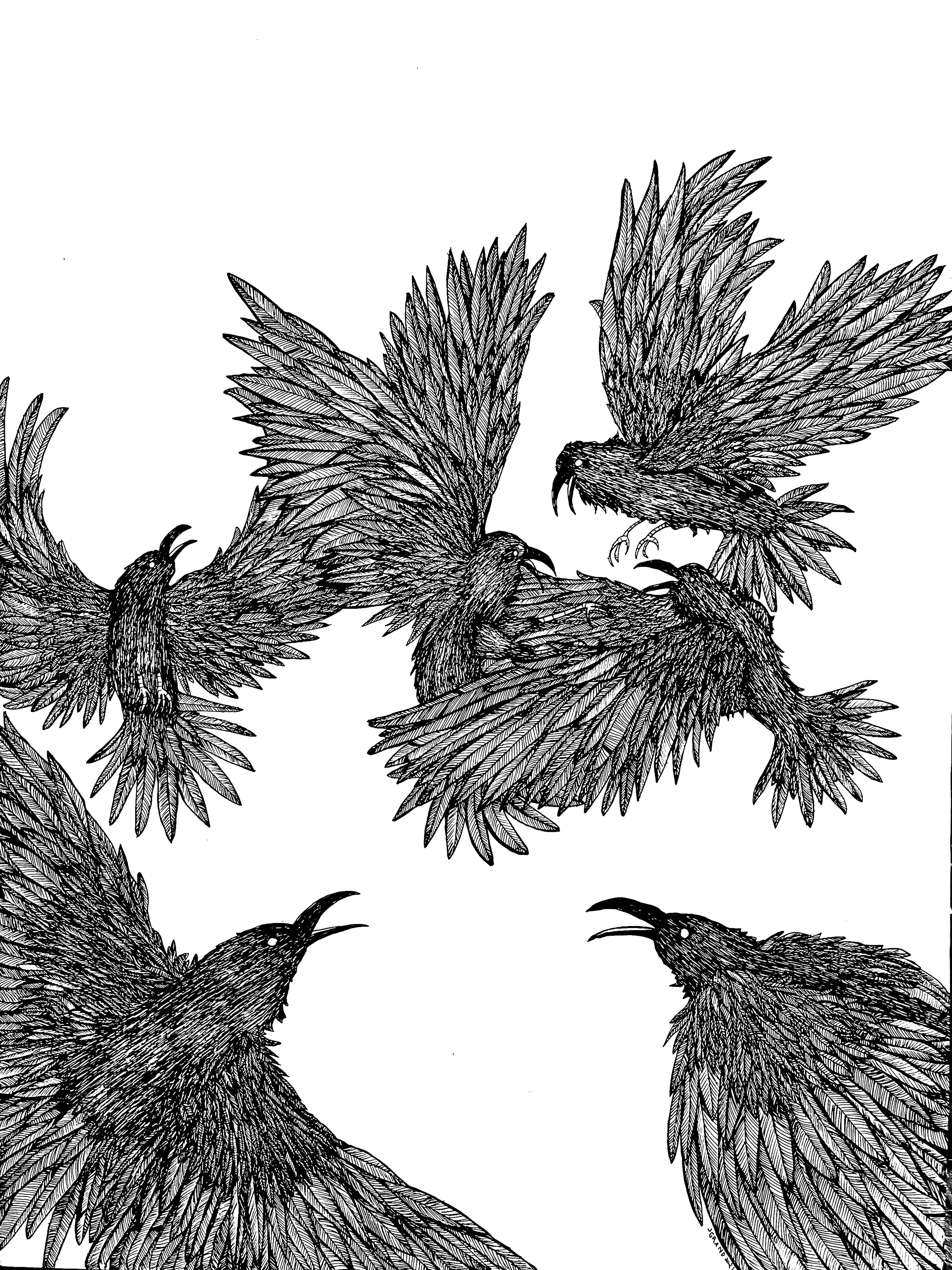 Unkindness- 2022- 18x24", Sharpie Pen on Paper