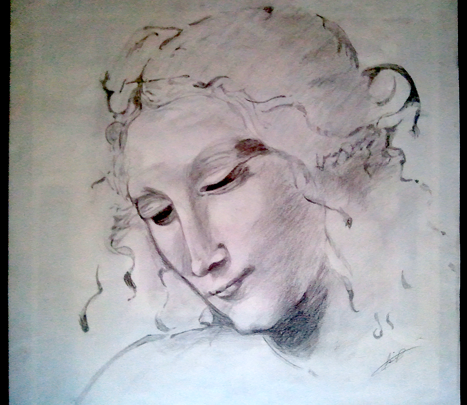 Leonardo Da Vinci - Rendition