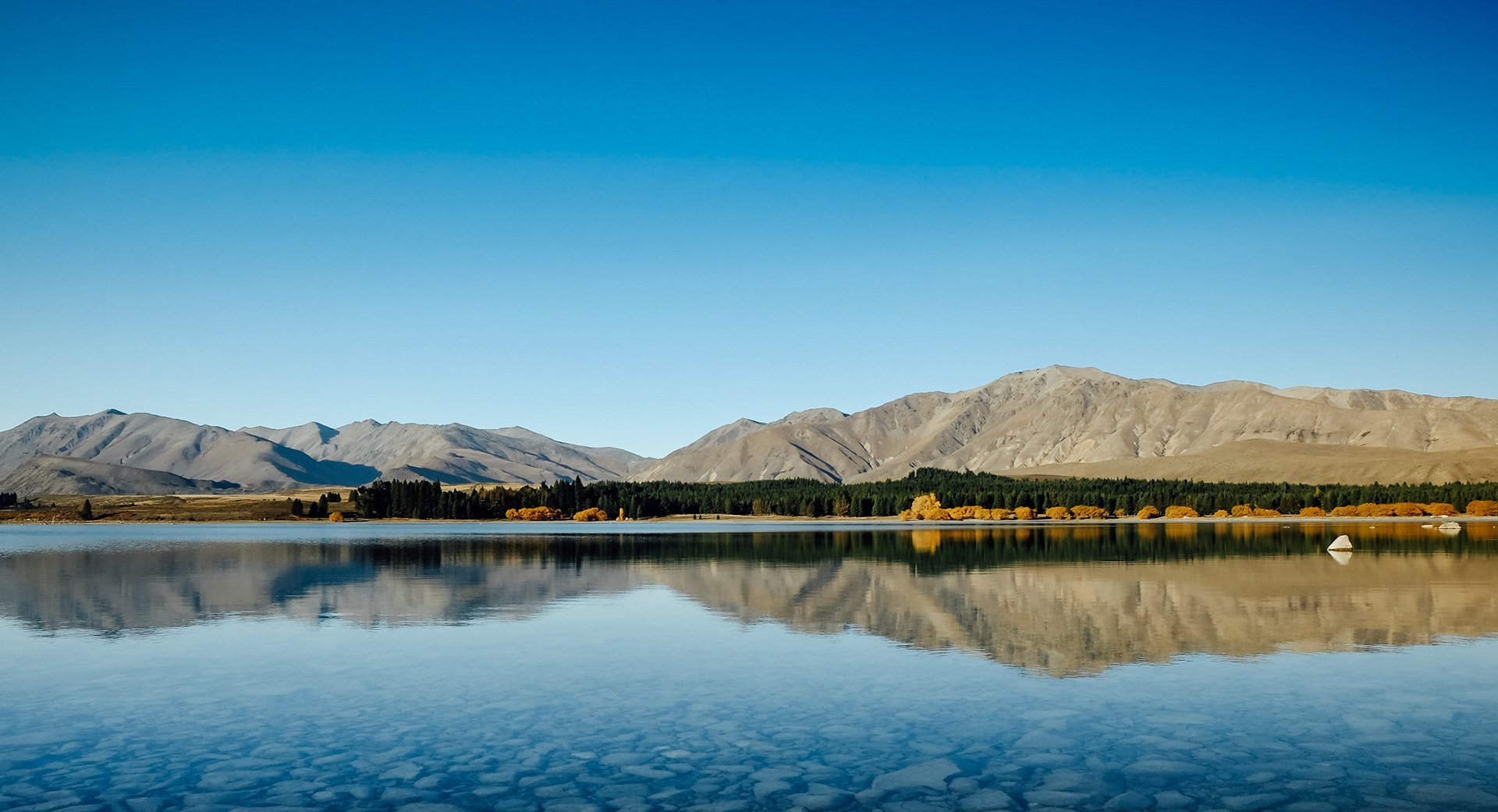 New Zealand