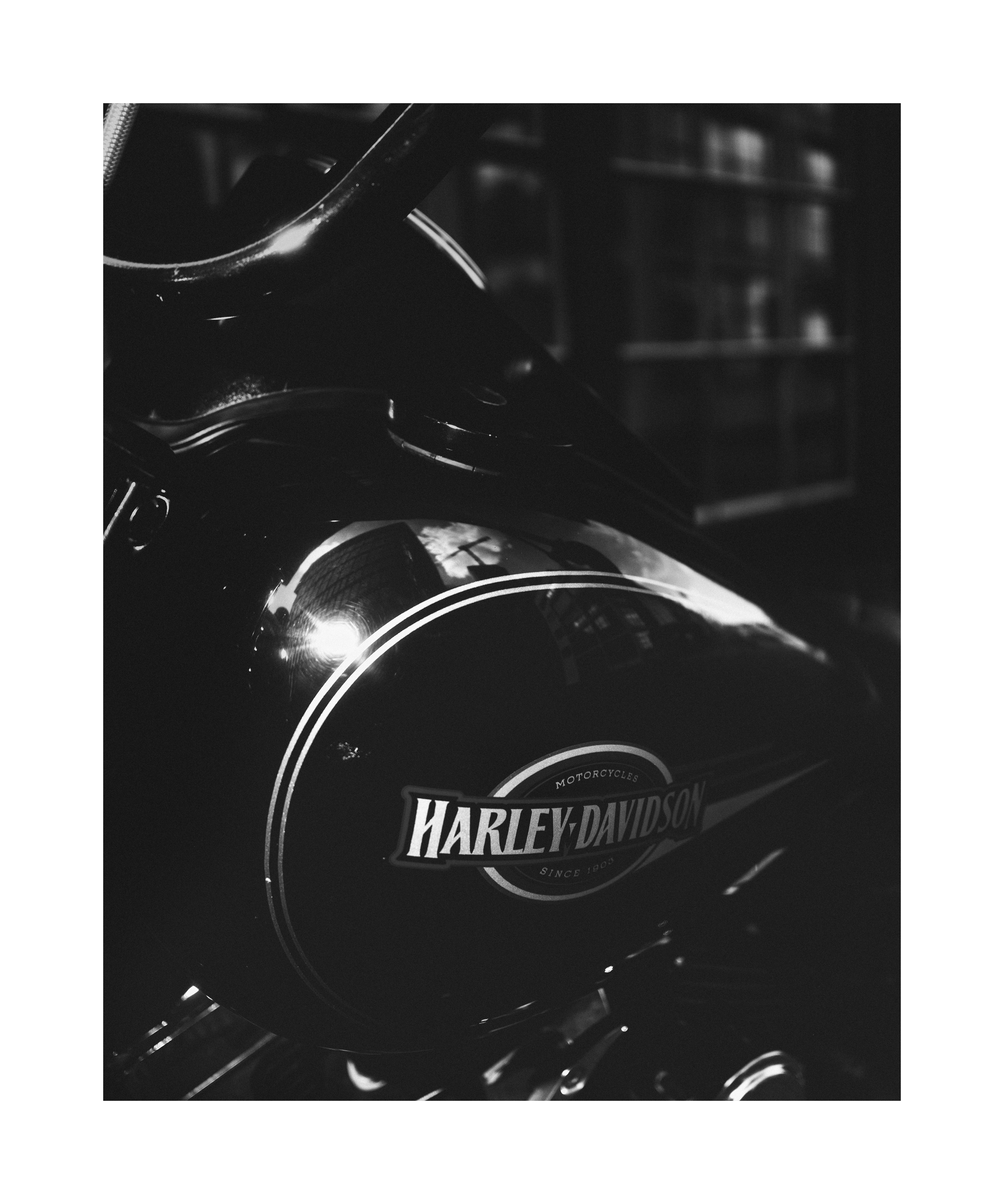 Black and white close-up of a Harley-Davidson motorcycle tank and logo.