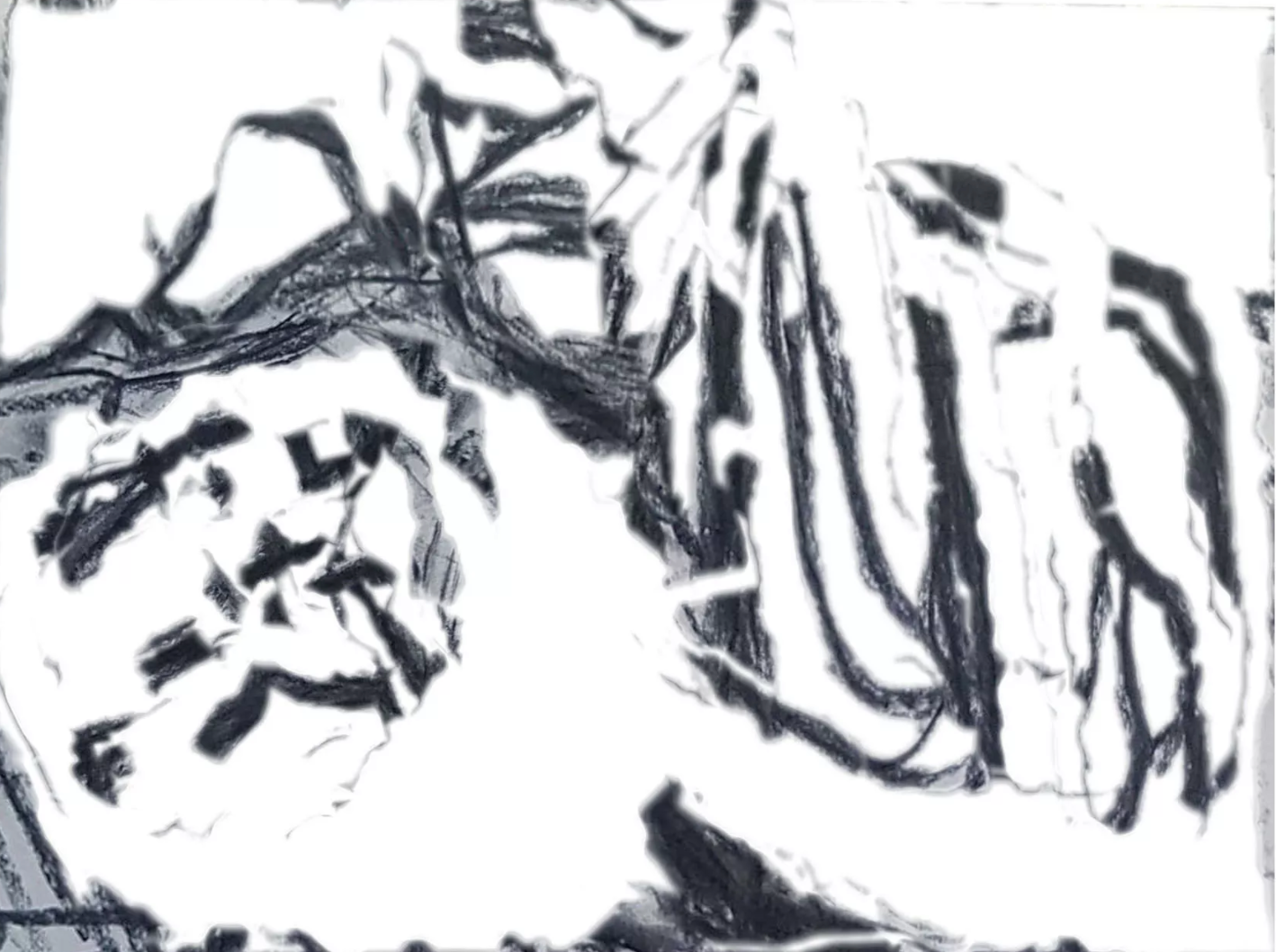 'Bones' Digital manipulation, charcoal